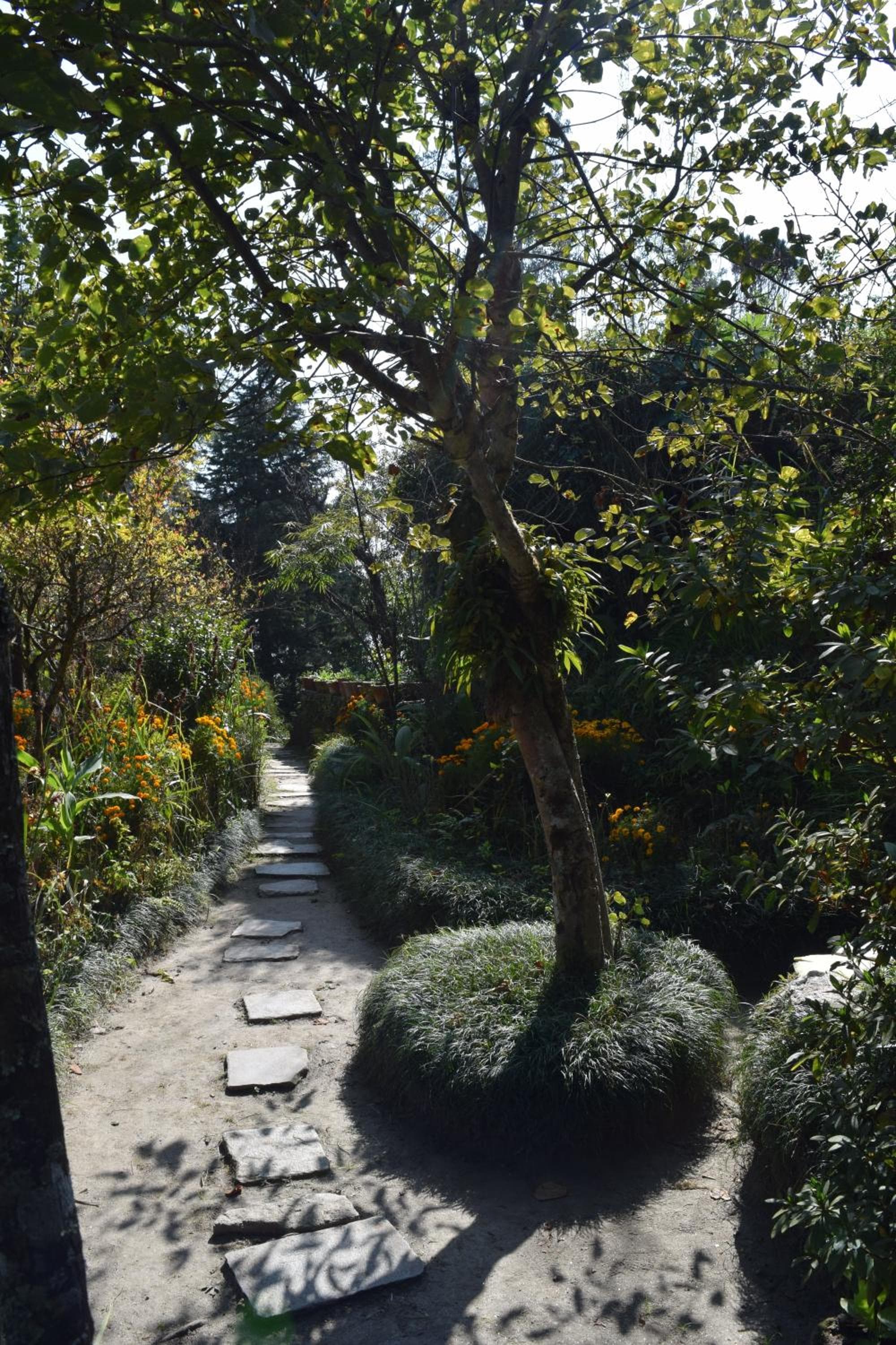 The Fort Resort photo 3