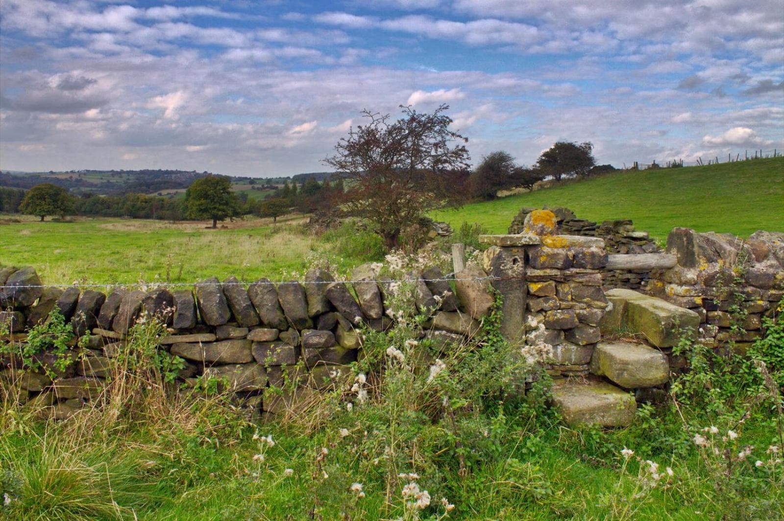 Wortley Cottage Guest House photo 4