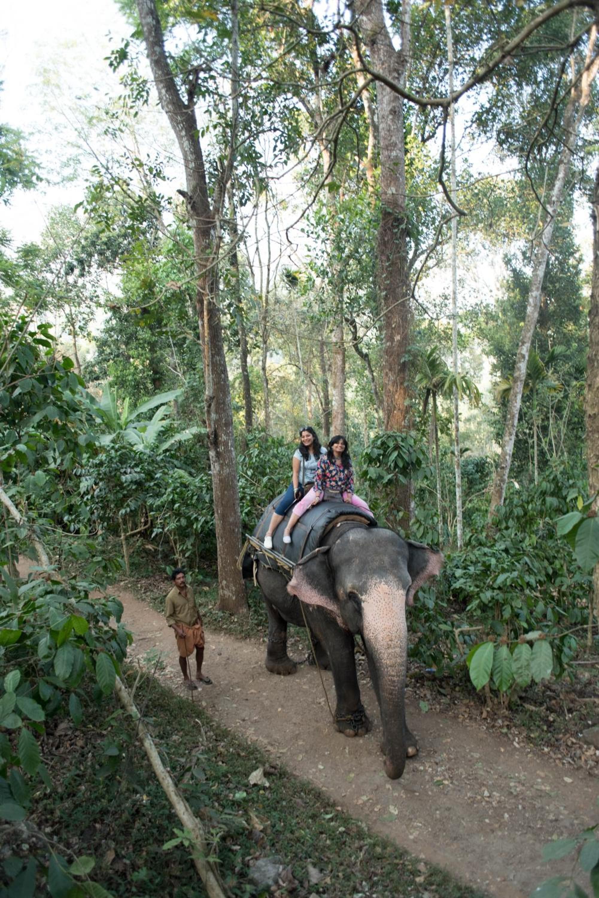 View Valley Homestay photo 2