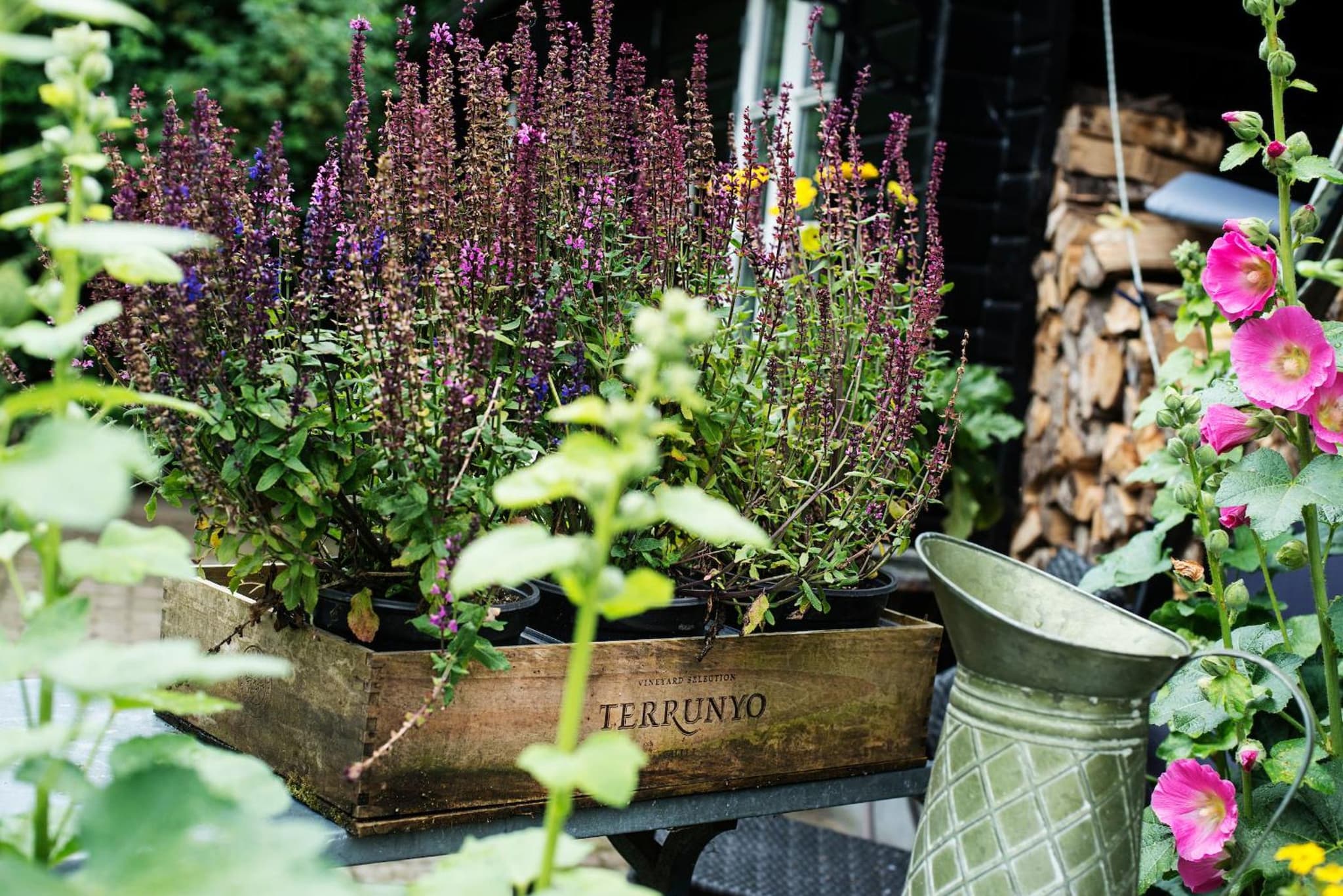 Grundfør bed and breakfast photo 7
