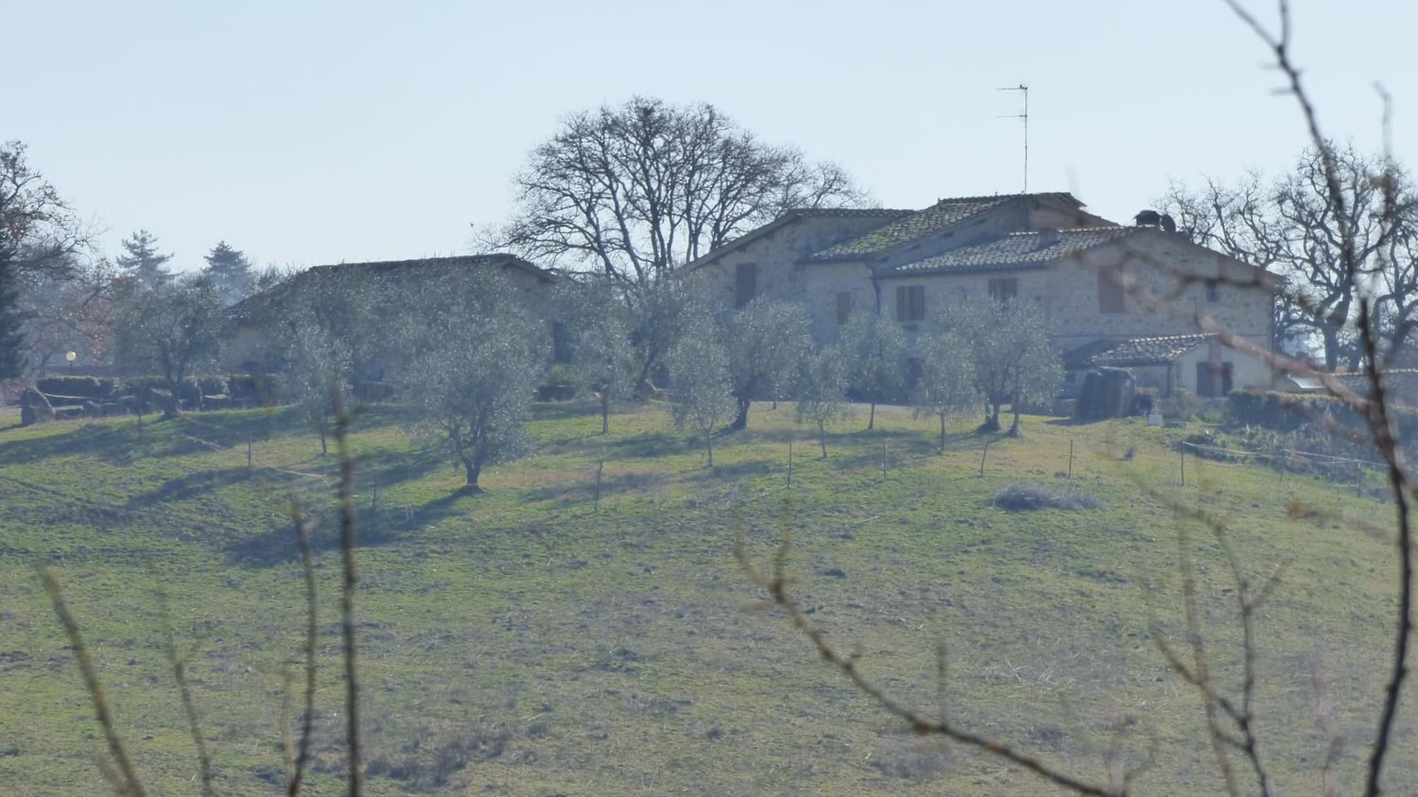 Casalgallo photo 8