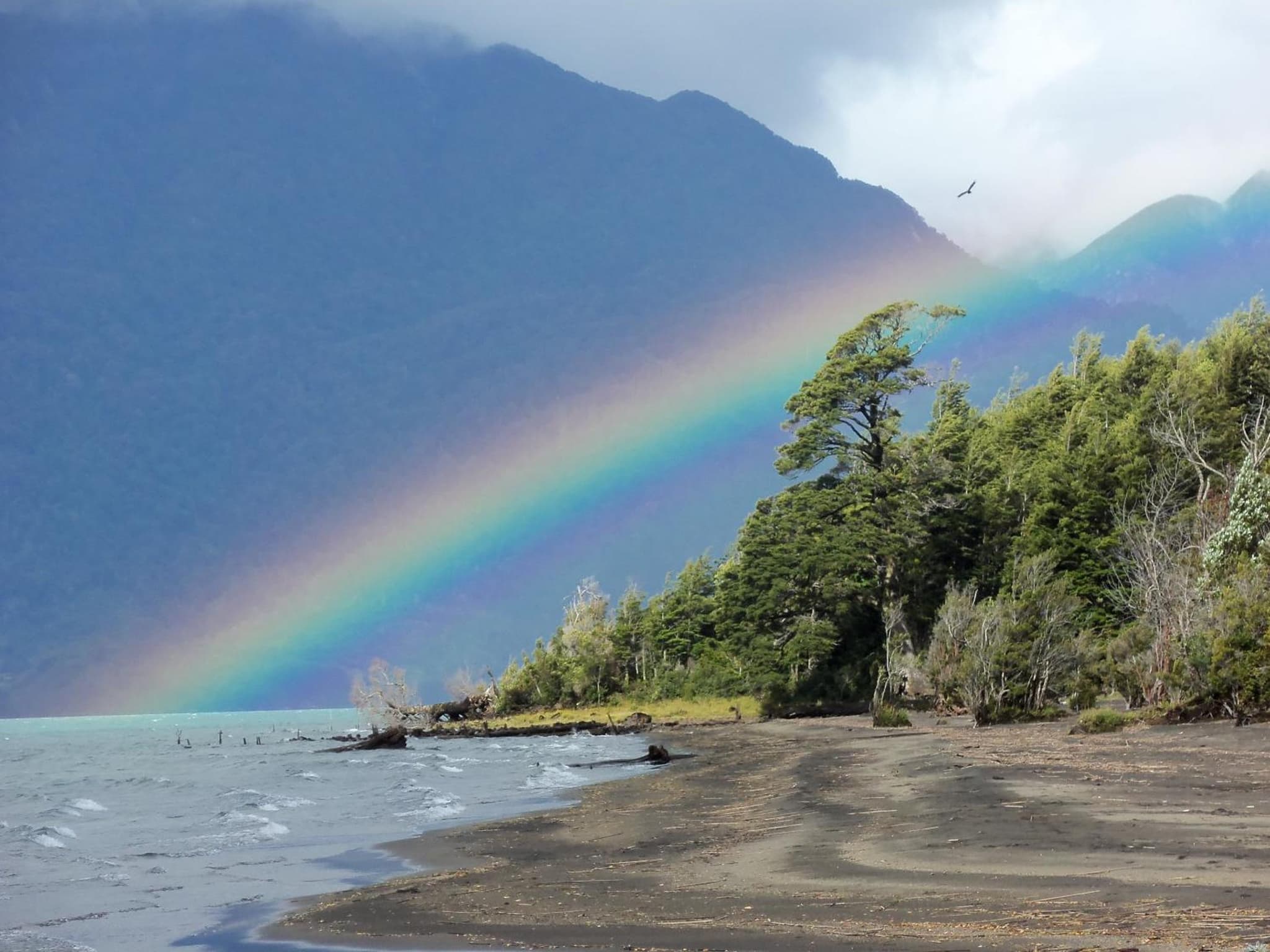 Yelcho en la Patagonia photo 9