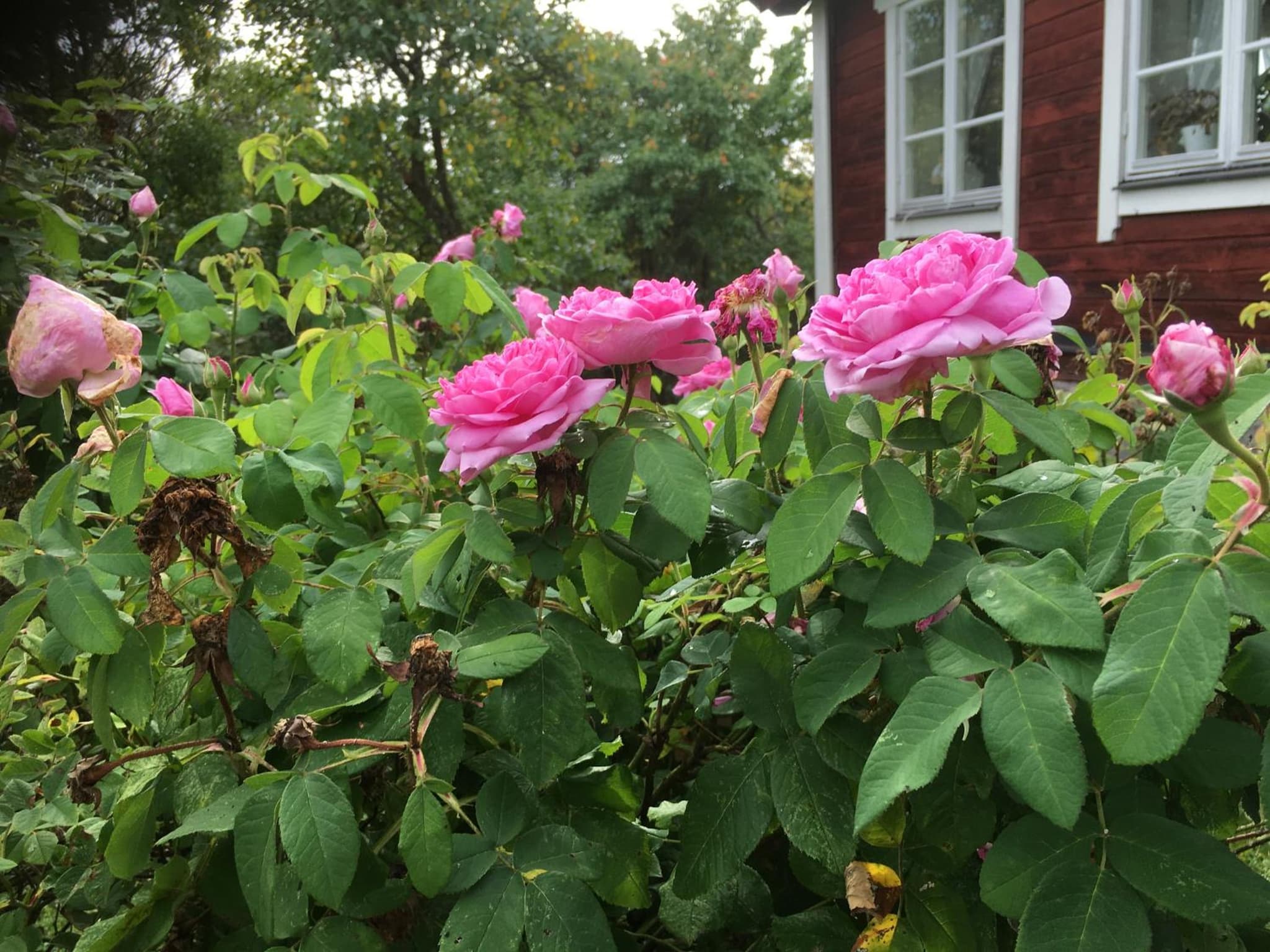 Thorstorps Gård B&B photo 4