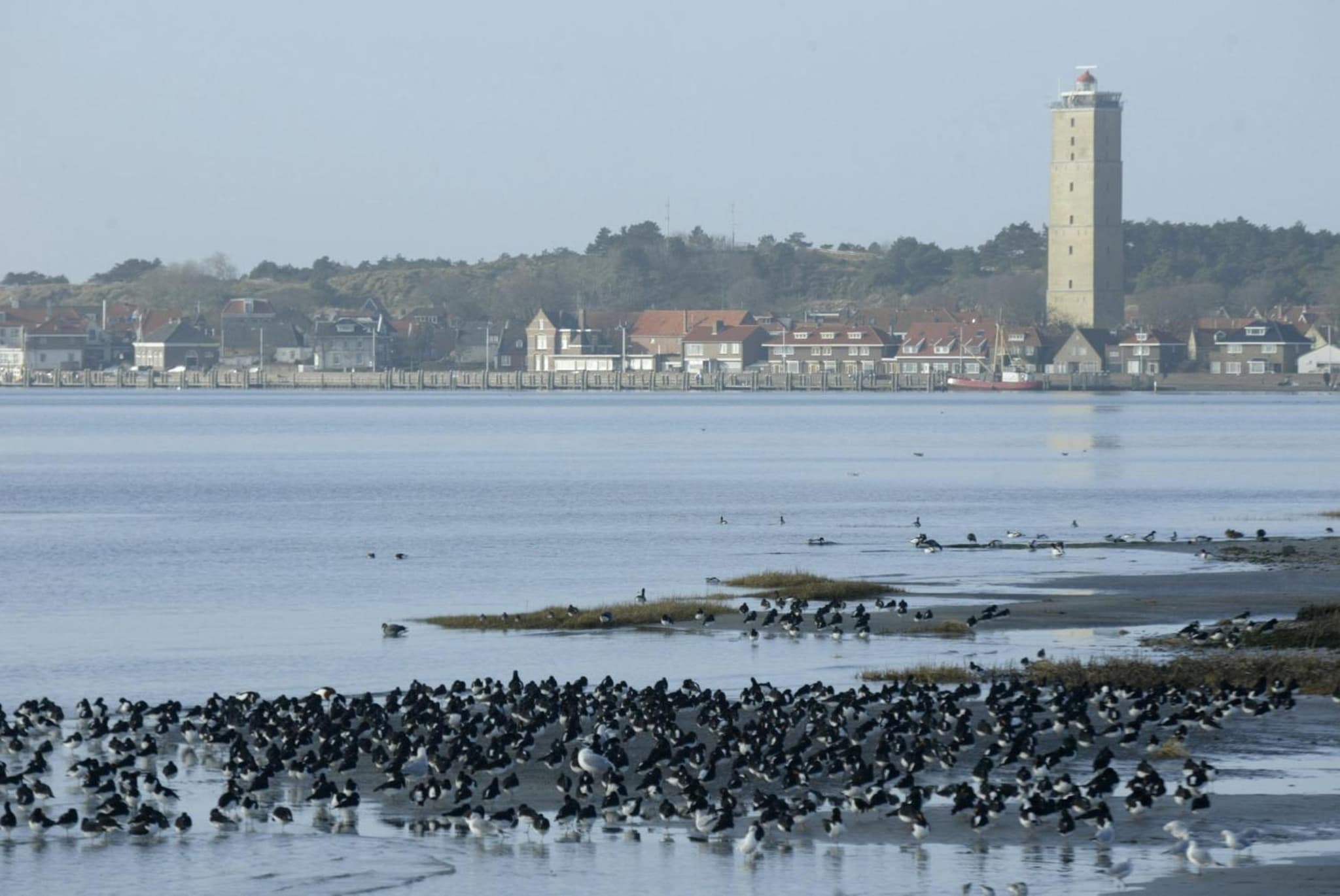 Stayokay Hostel Terschelling photo 3