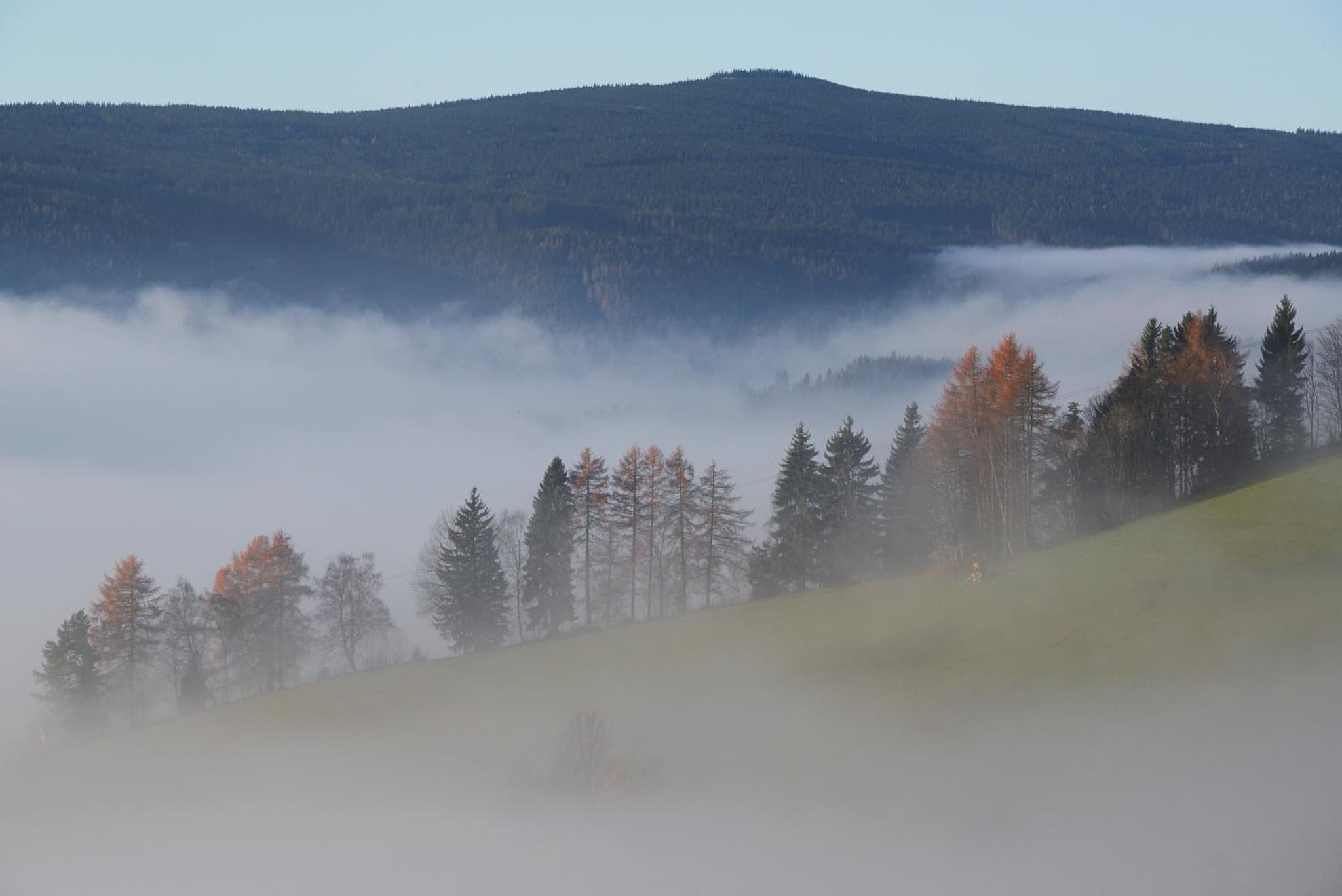 Glühwürmchenhütte und Romantikhütte photo 5