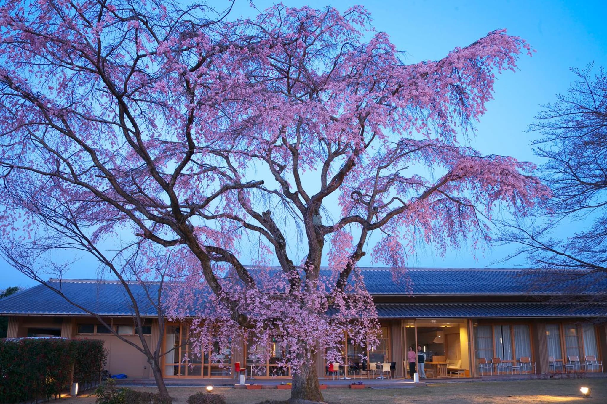 Kyoto Utano Youth Hostel photo 7
