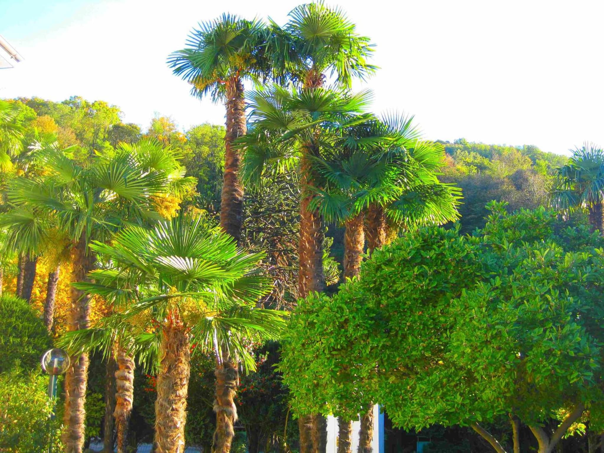 Villa Garni Gardenia photo 8