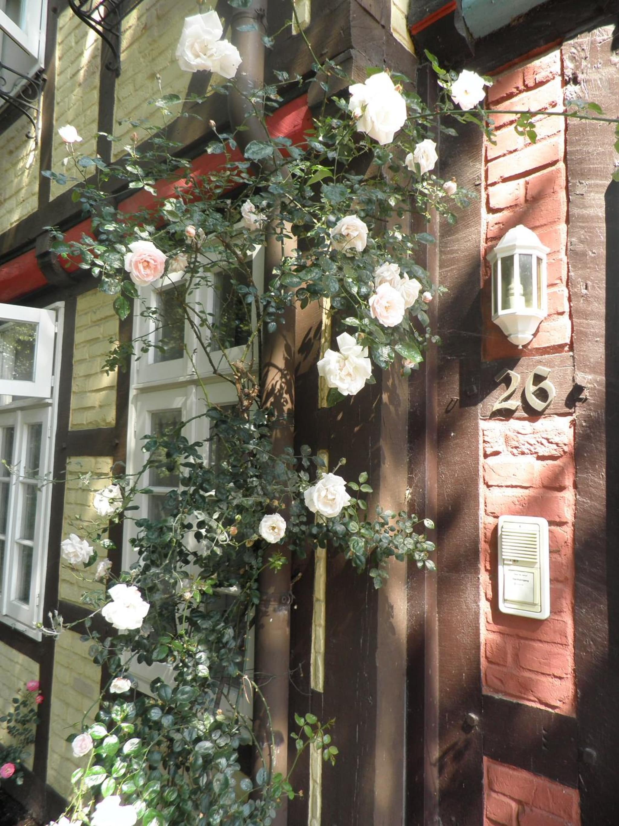Hotel St. Georg Garni photo 8