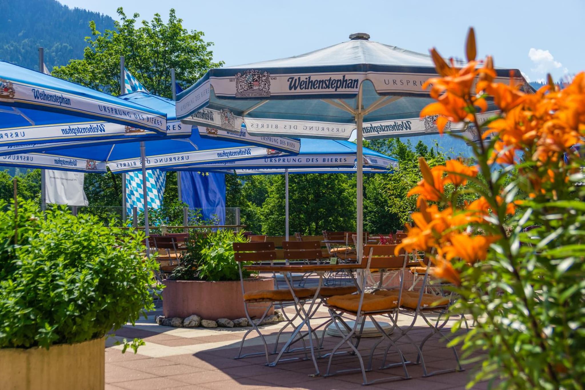 Parkhotel Sonnenhof photo 2