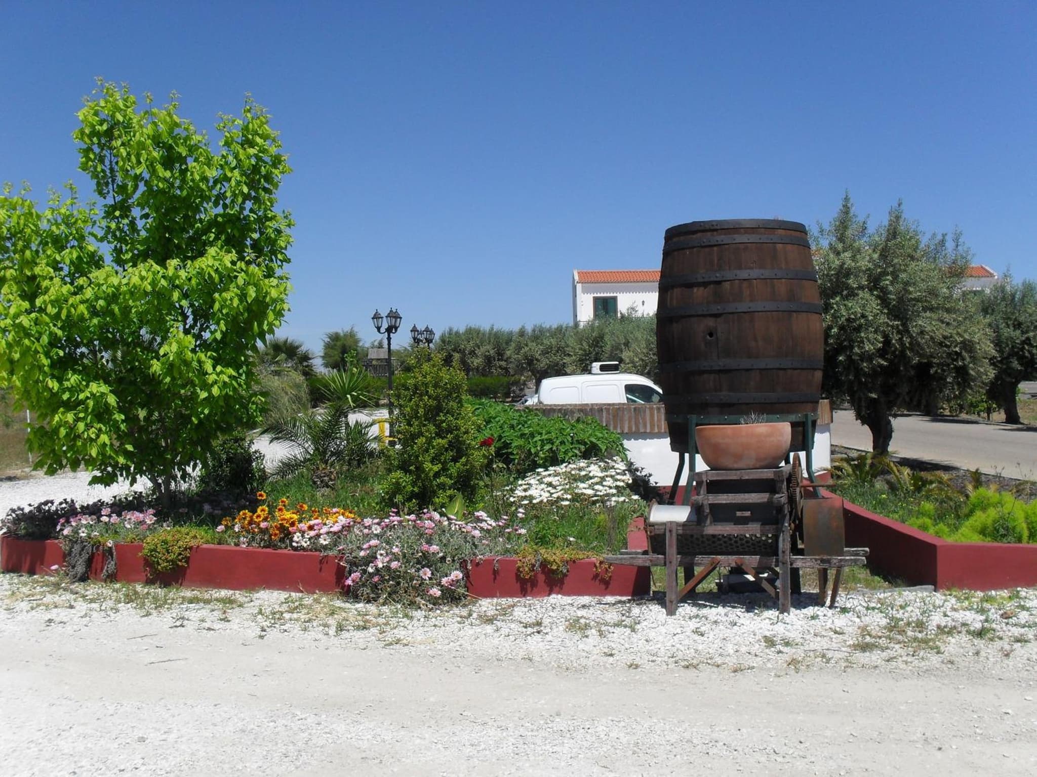 Terras de Monsaraz photo 8
