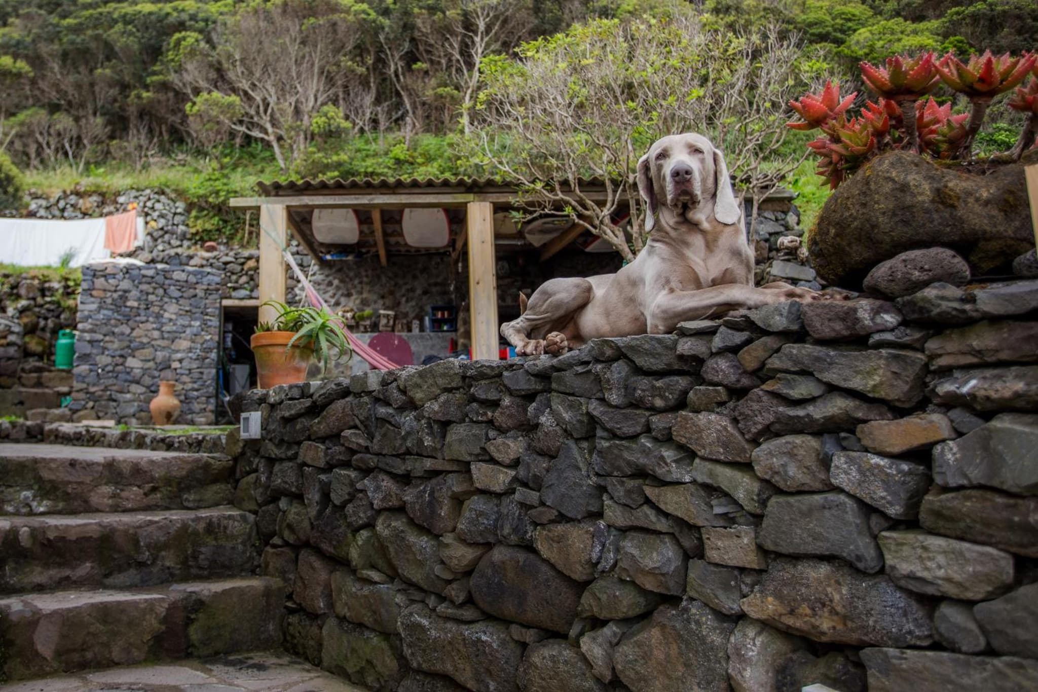 Caldeira Guesthouse photo 7