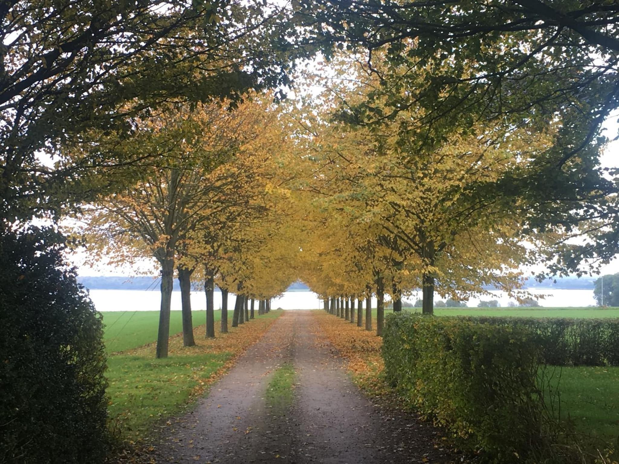 Vibæk photo 9
