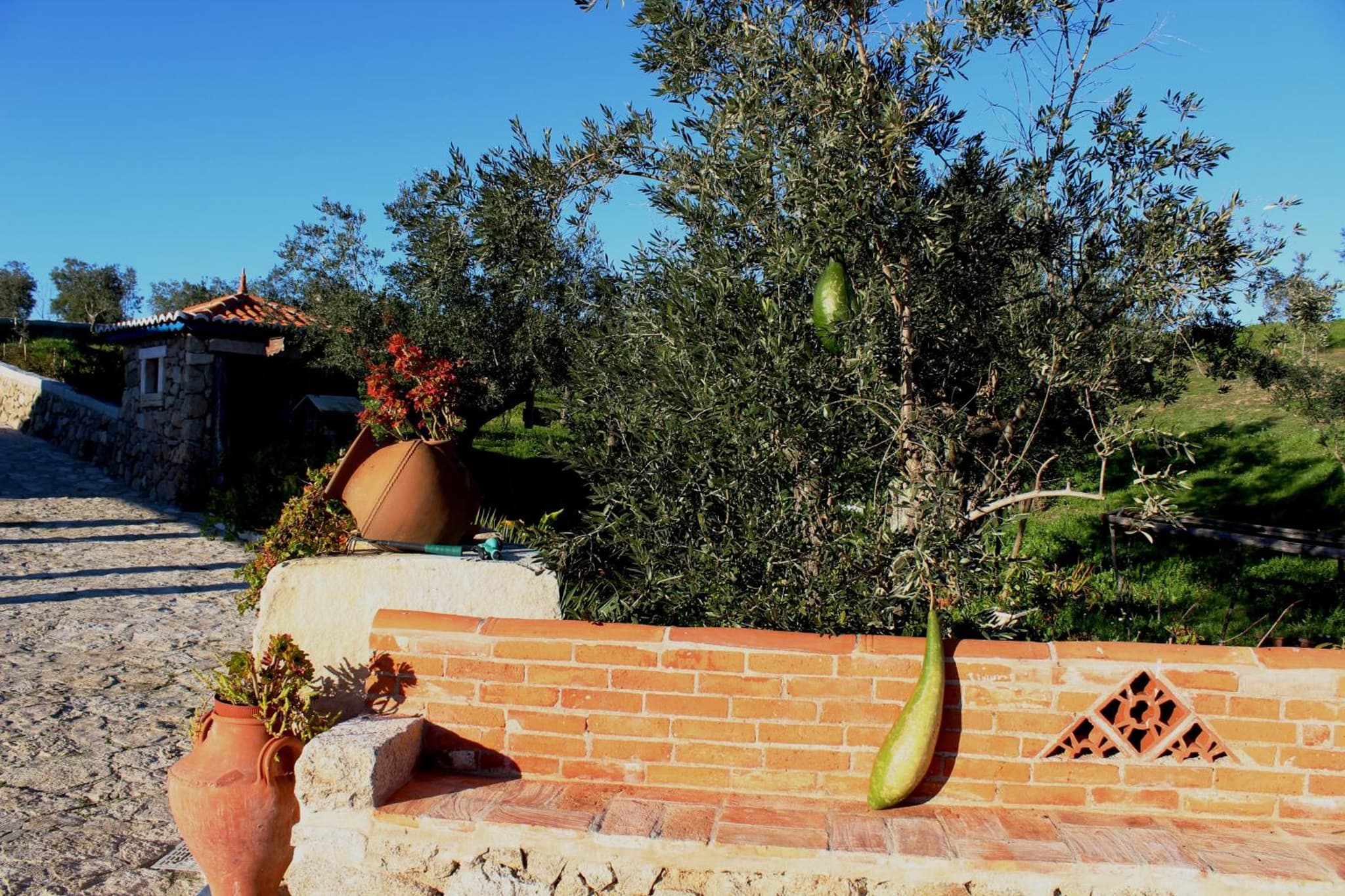 Quinta Ribeiro Tanquinhos photo 8