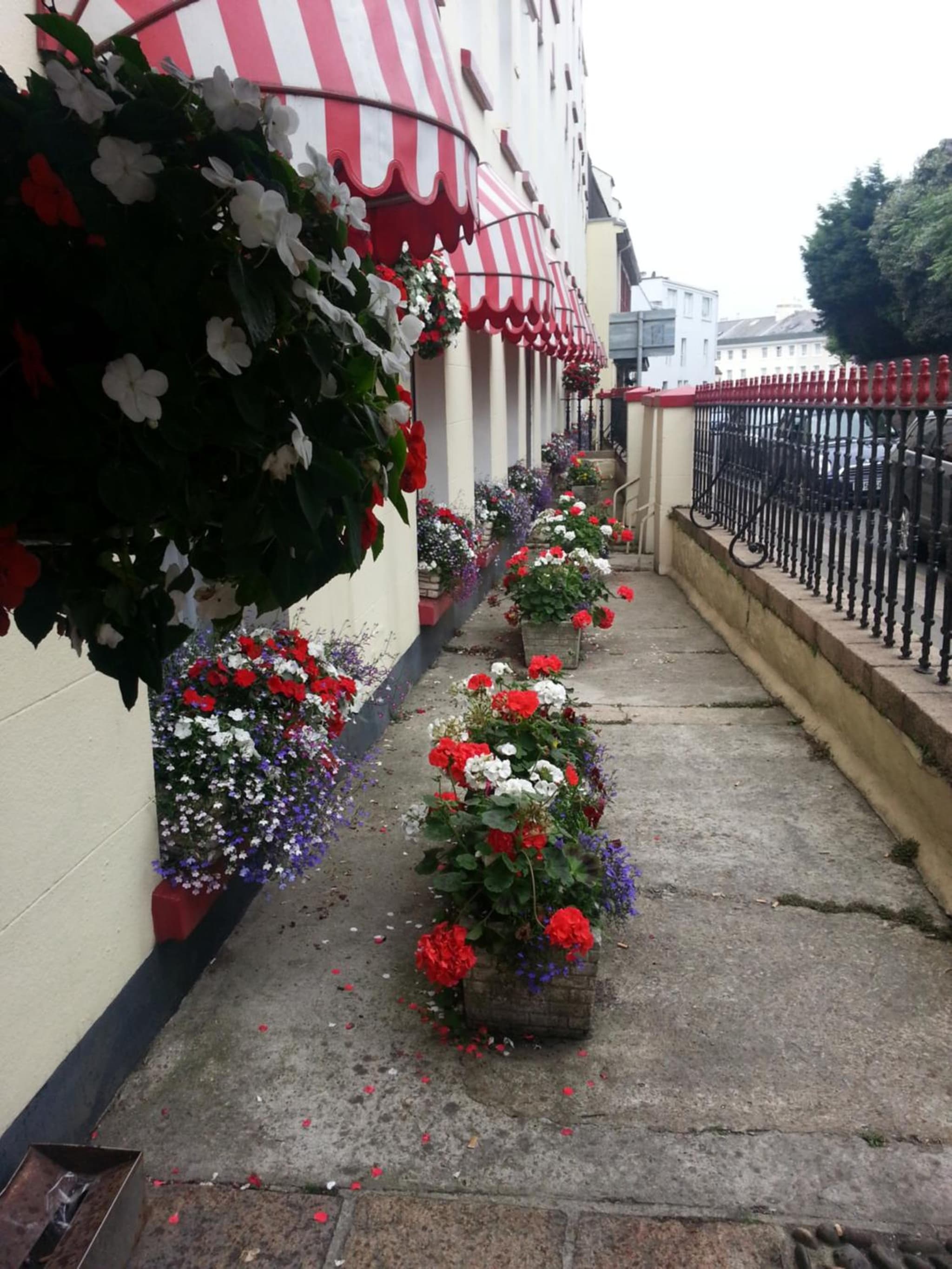 Mornington Hotel photo 6
