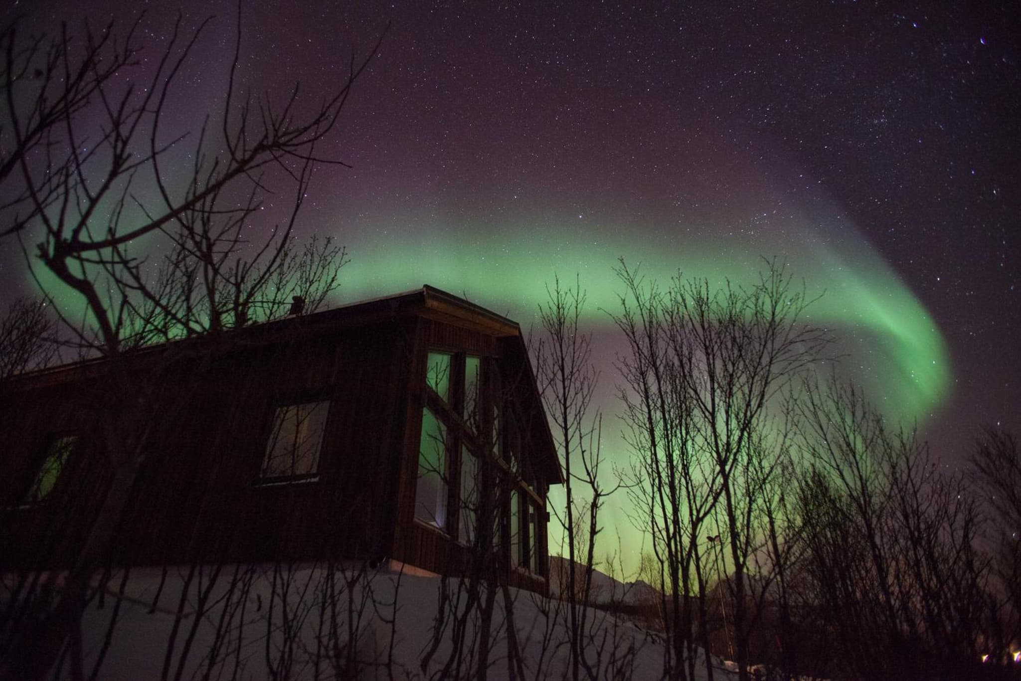 Aurora View Cabin photo 6