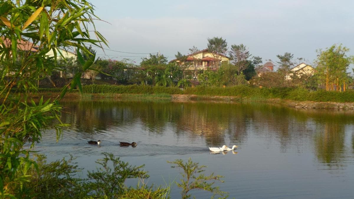 Colombo Airport Homestay photo 6