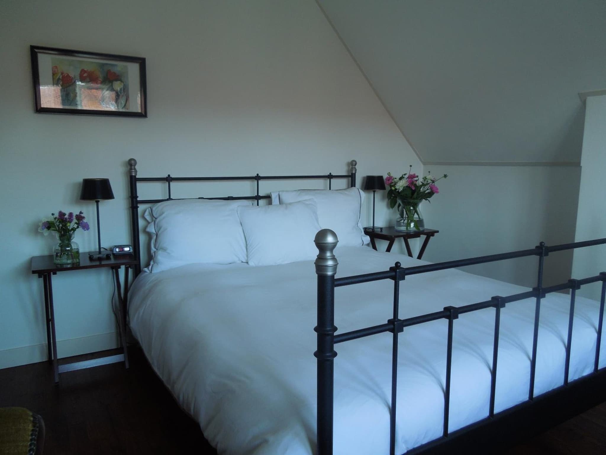Bed & Breakfast Frans Hals Haarlem photo 2
