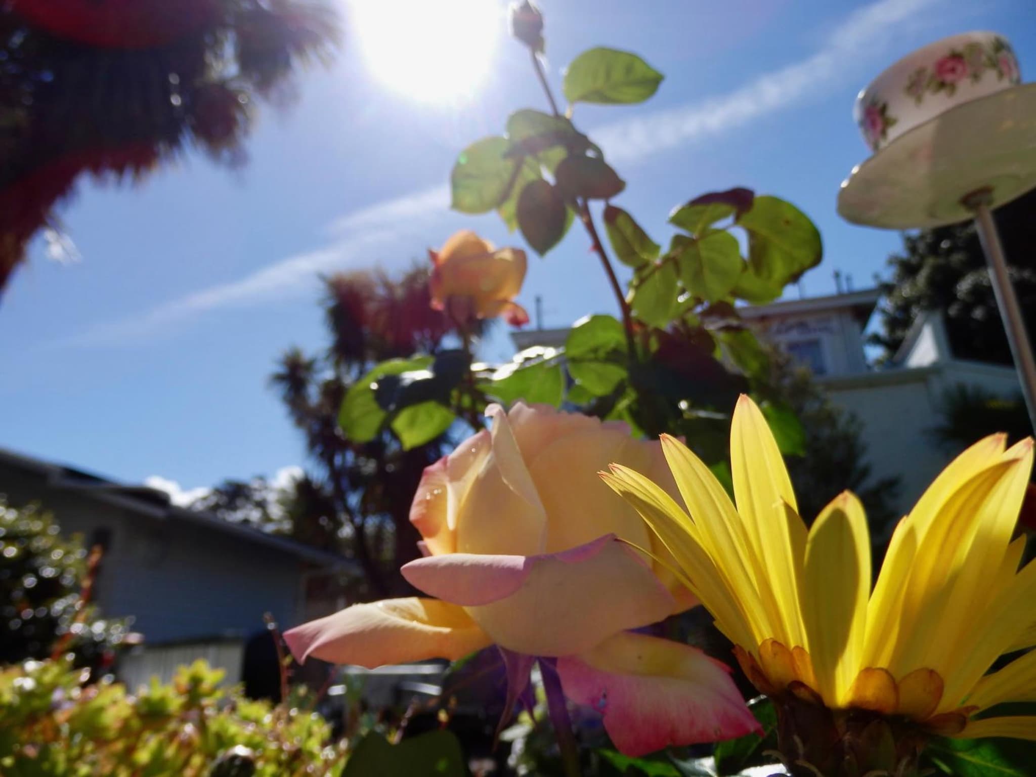 Ah House City B&B Nelson photo 9
