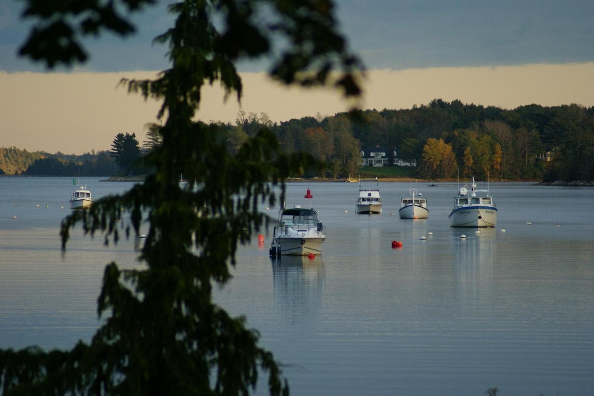 Fisherman's Daughter B&B photo 2