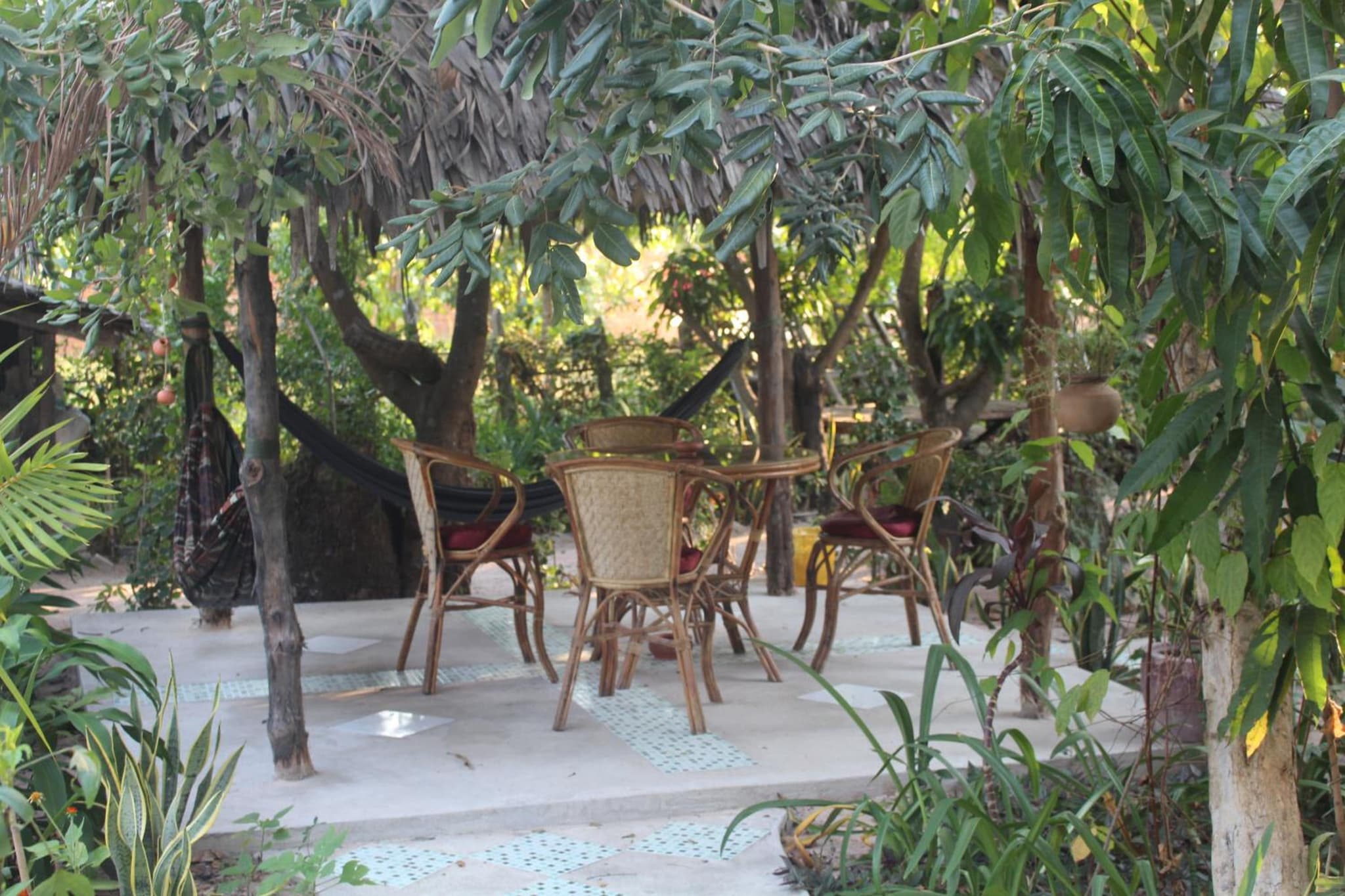 Garden Guesthouse photo 7