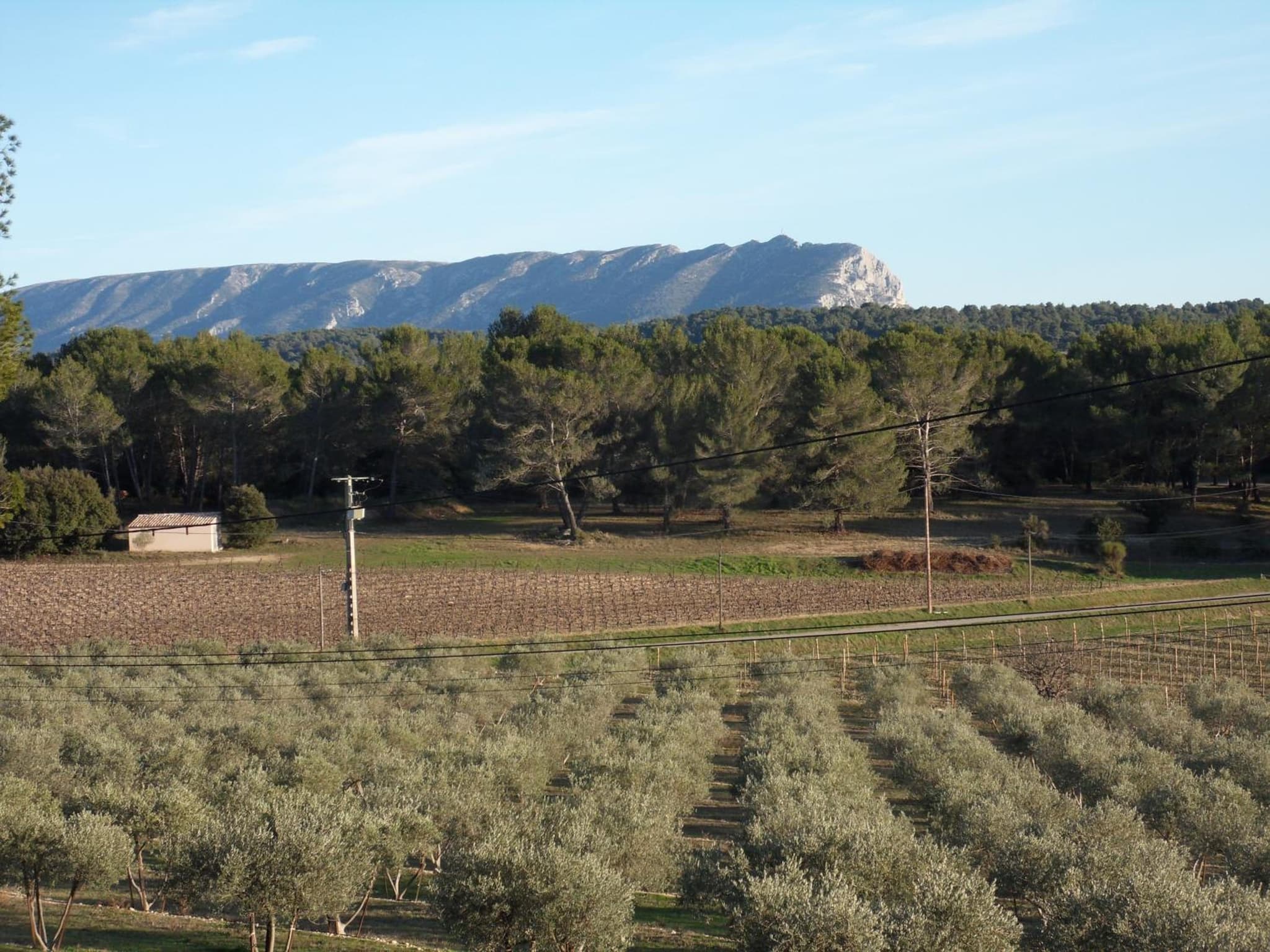 Domaine de L'Olibaou photo 9