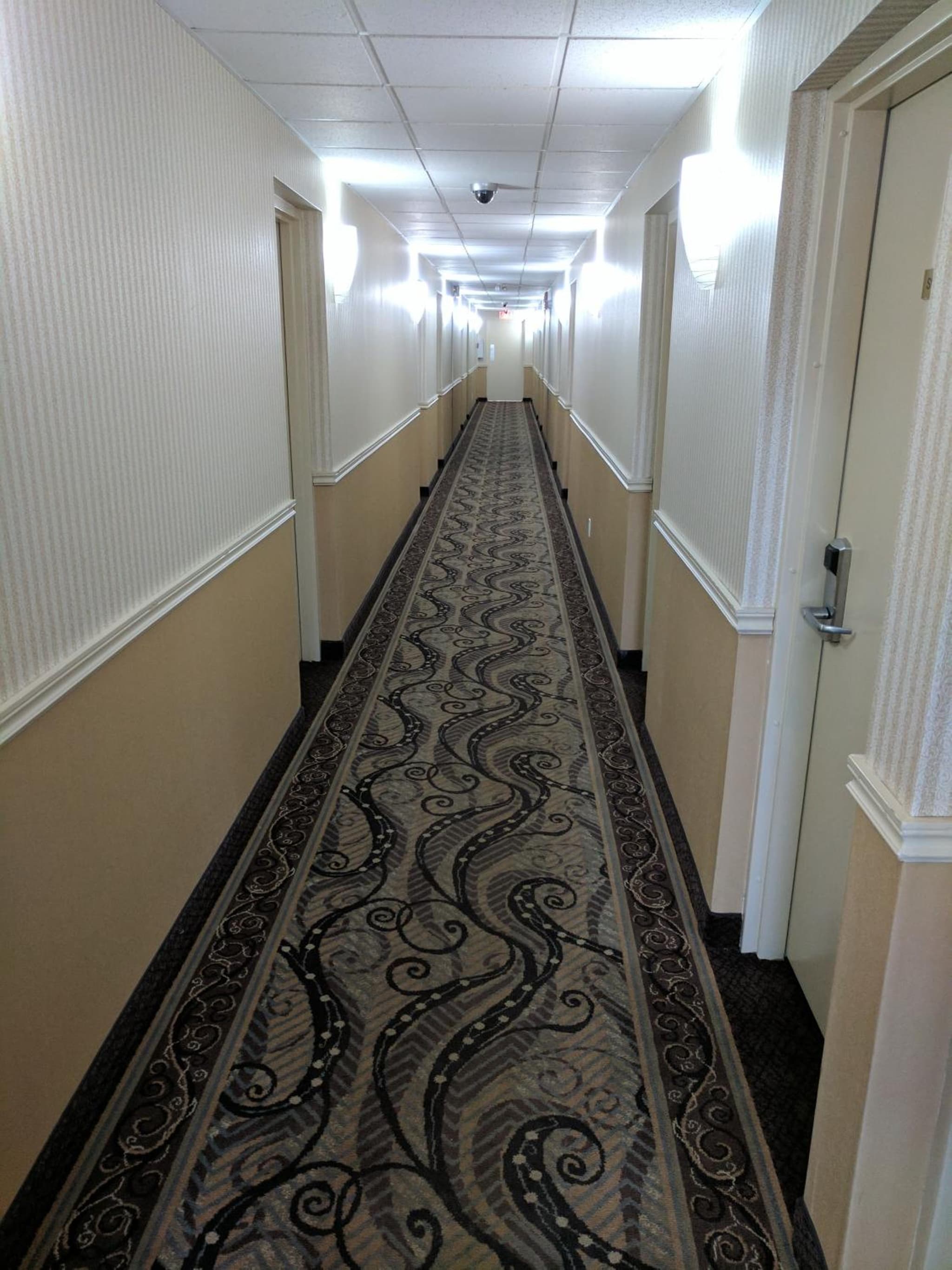 Luxury Inn photo 3