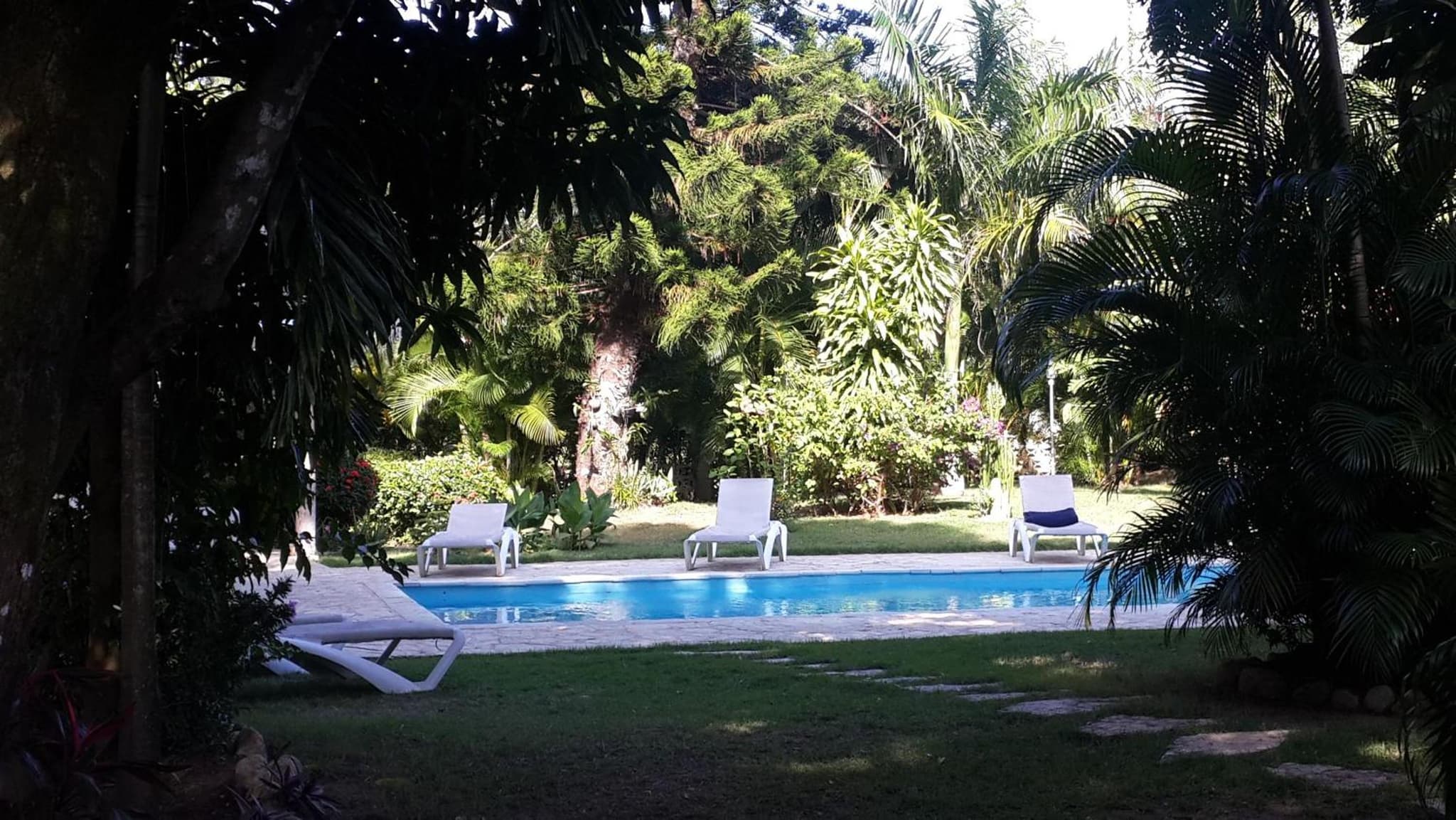 Bungalow Natura Village photo 4