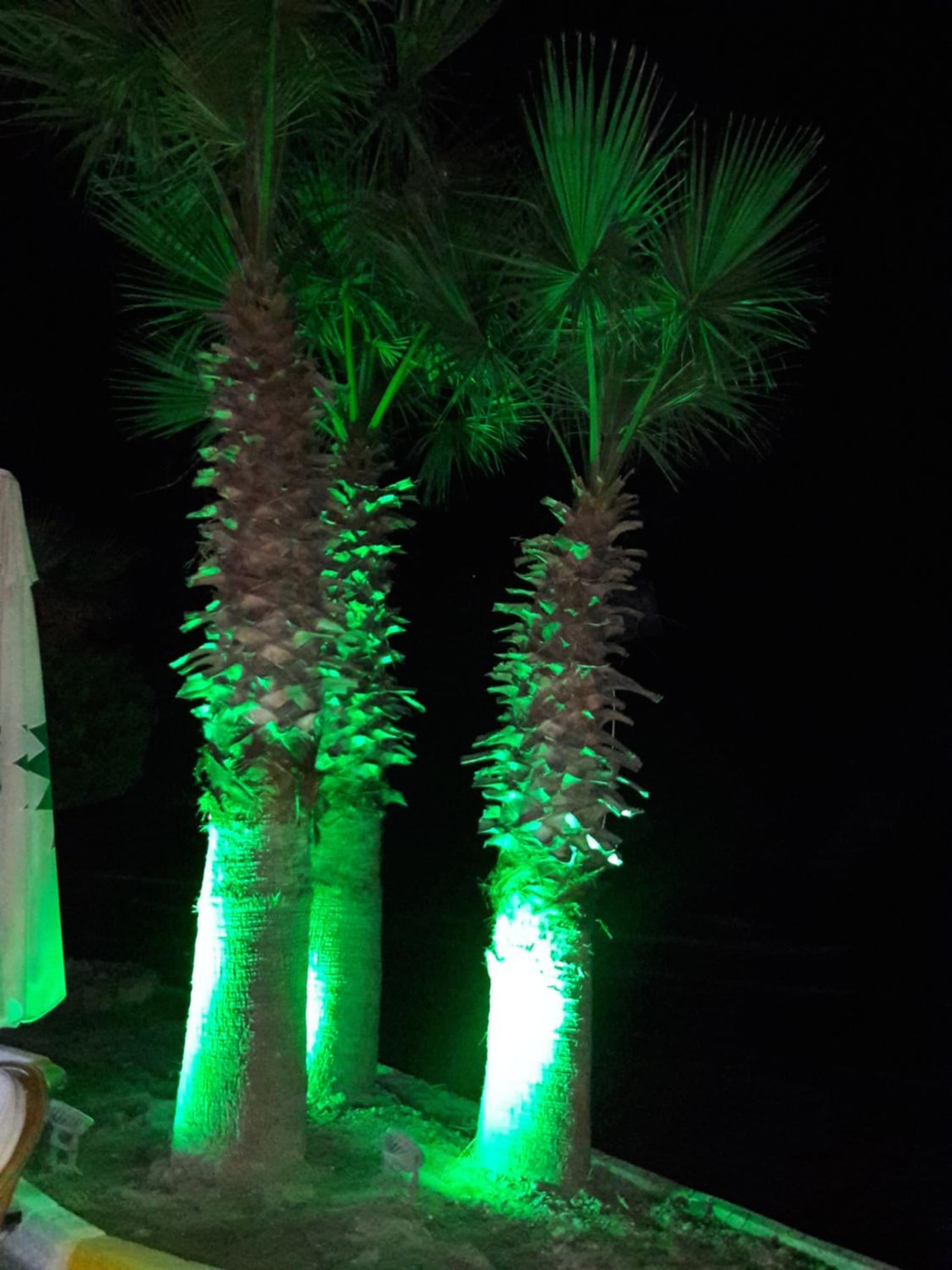 Sunday Beach Hotel photo 9