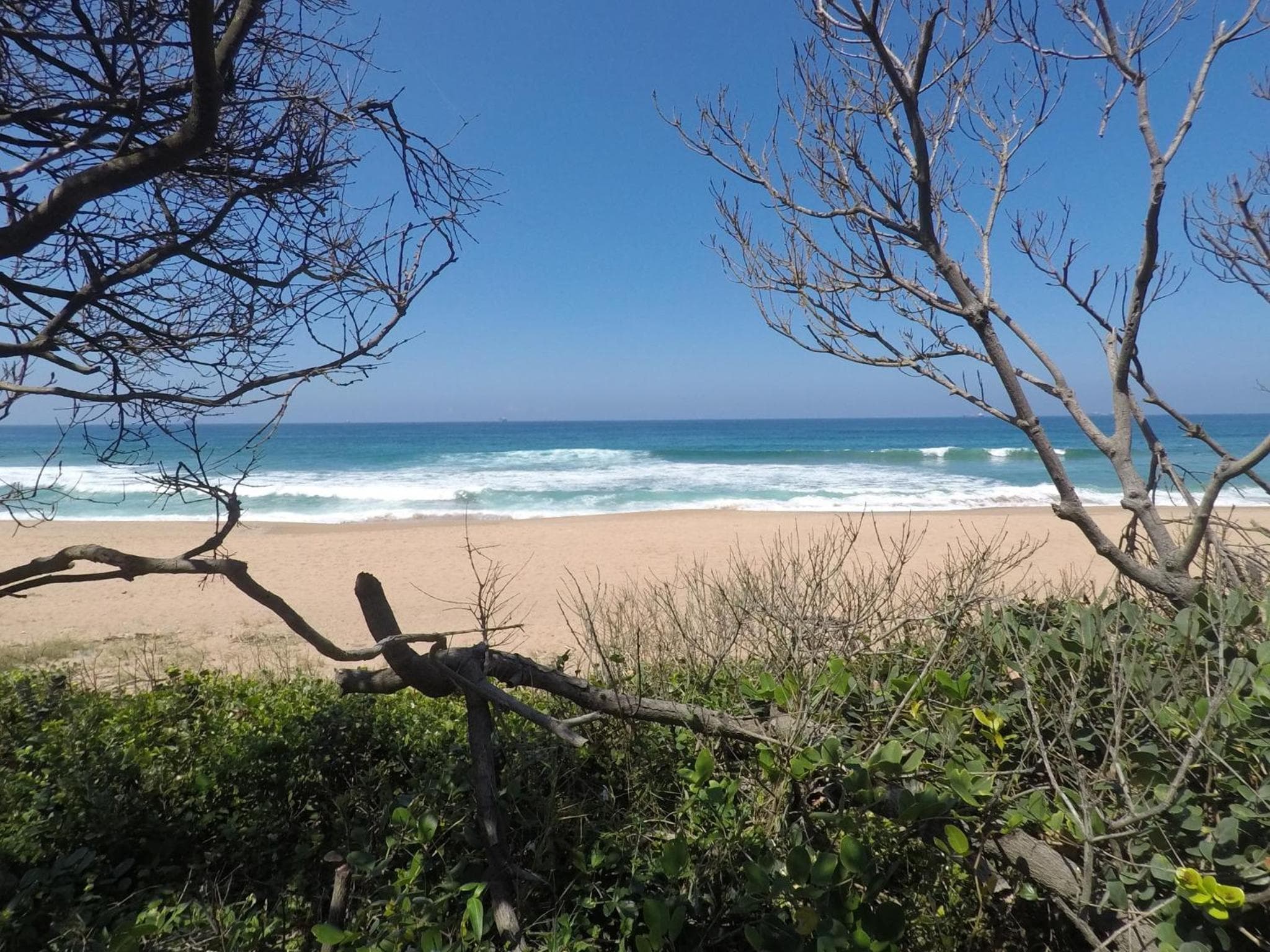 Surf Motel photo 6
