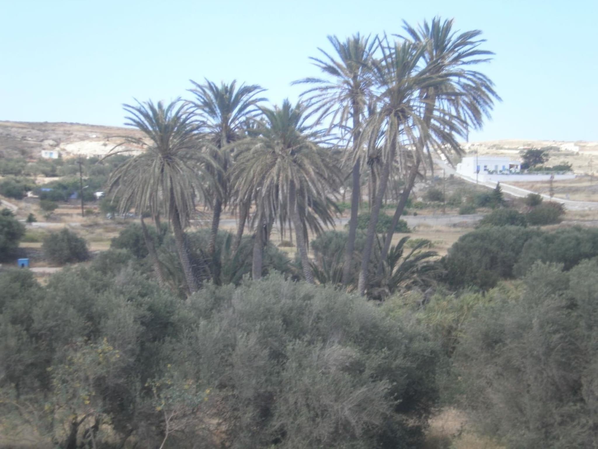 Hotel Delfini photo 4