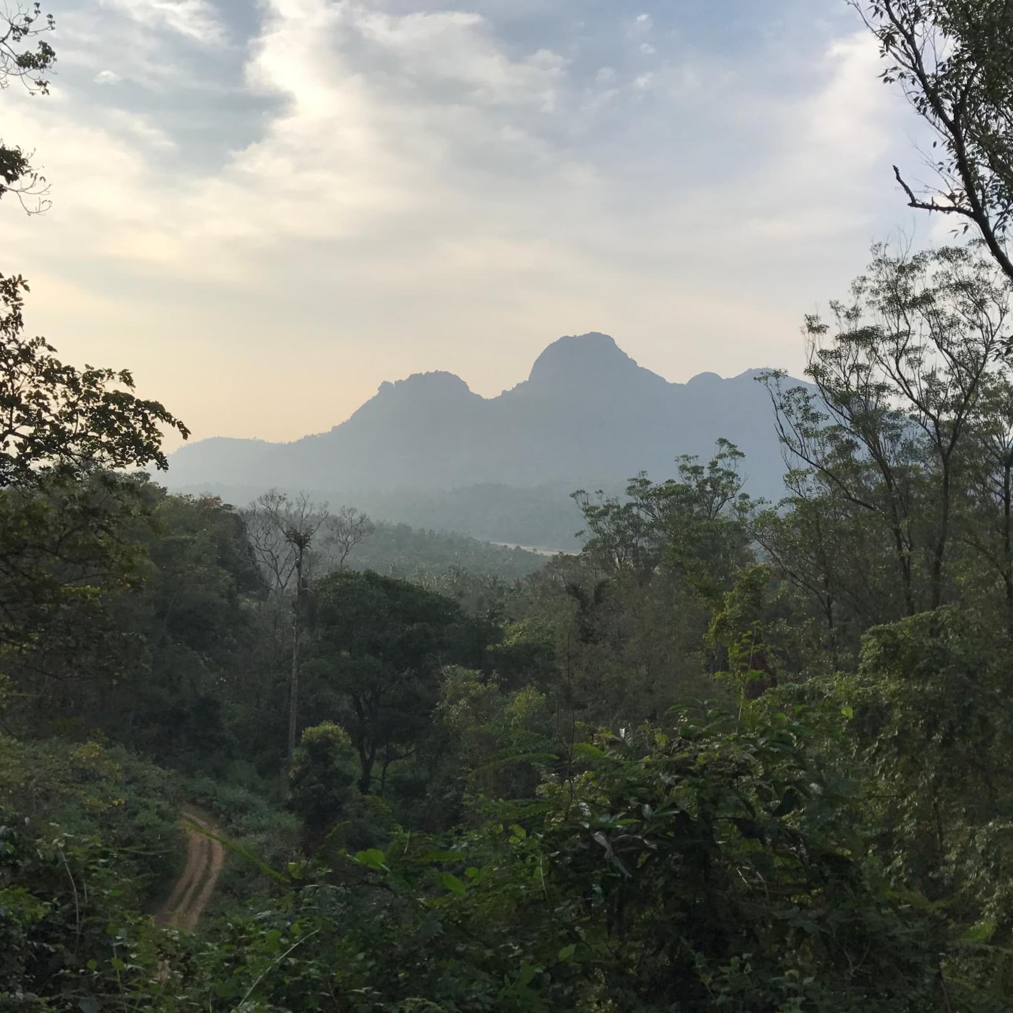 Pepper Trail photo 2