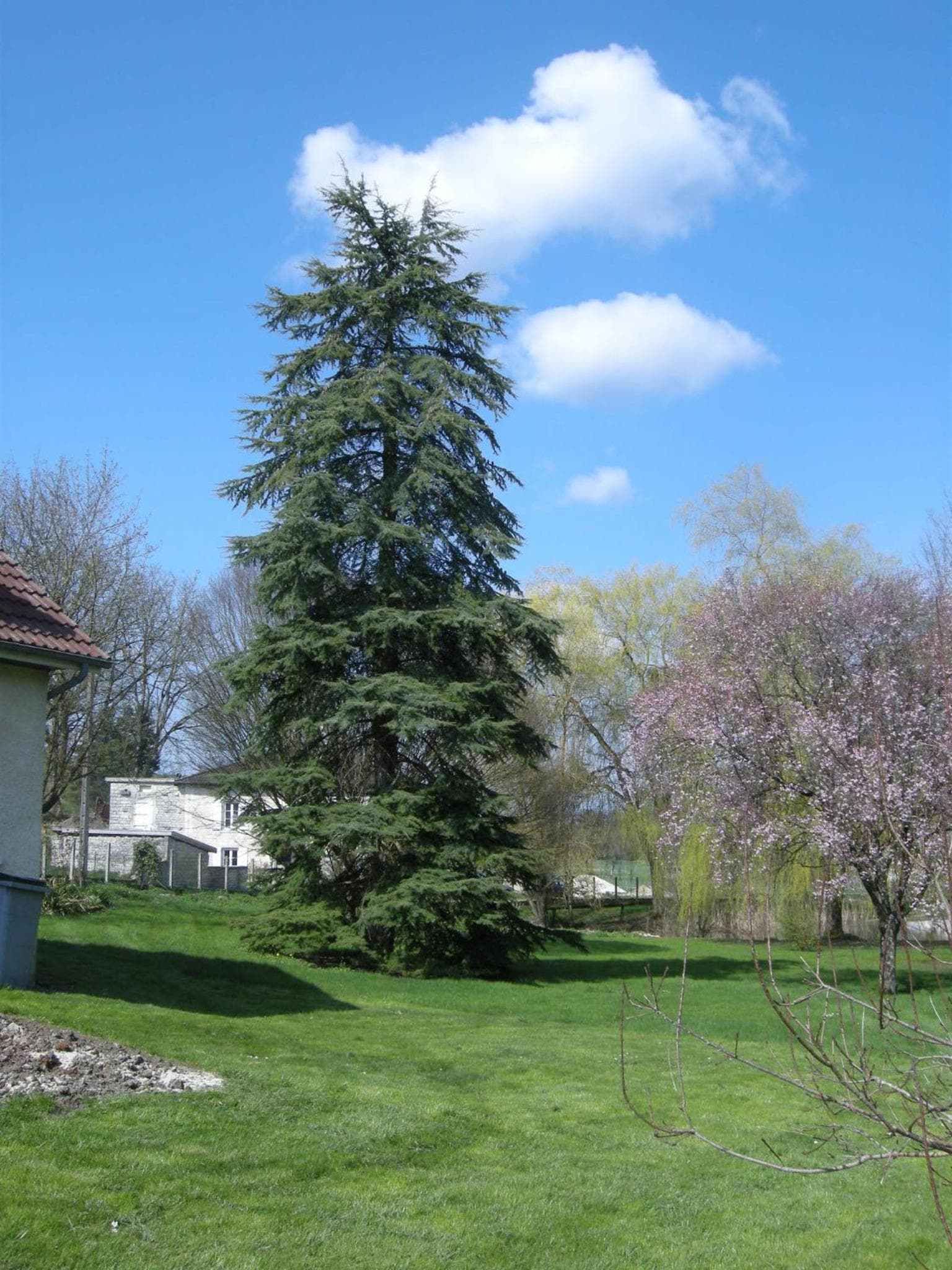 Le Grand Pré photo 2