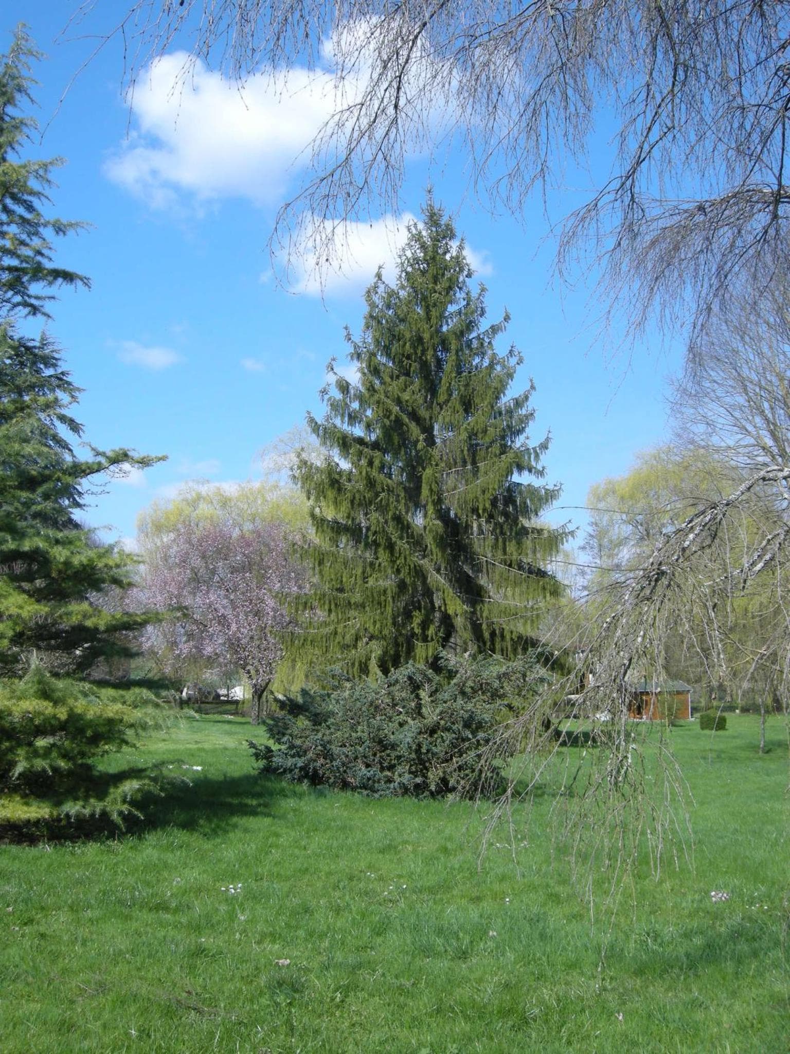 Le Grand Pré photo 9