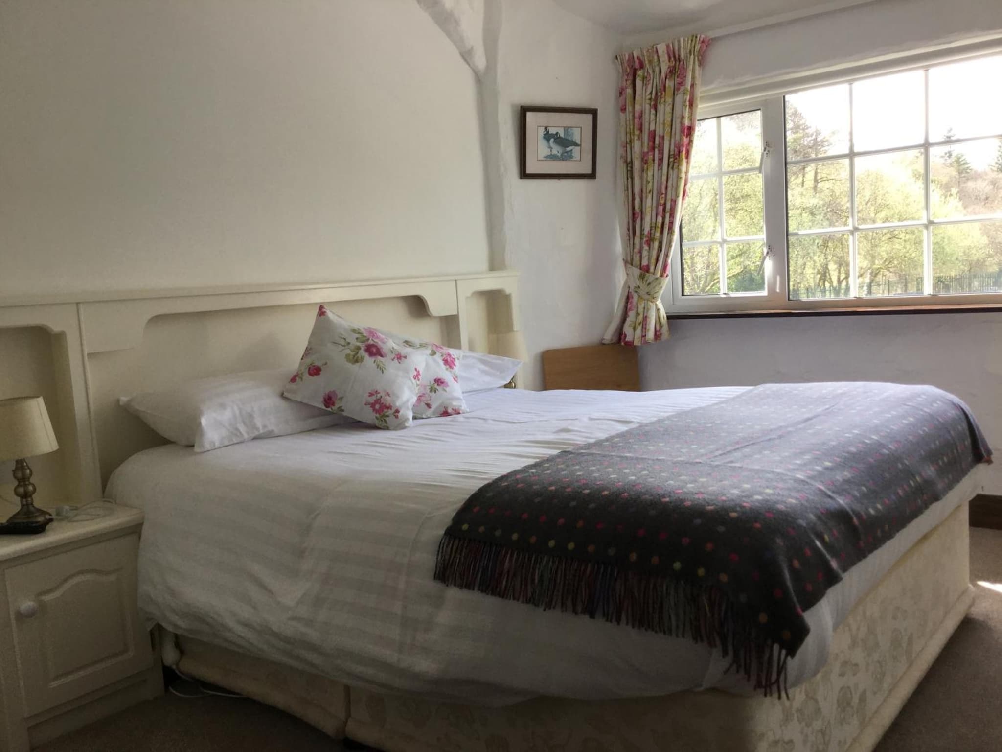 Ryan's River Lodge B&B photo 8