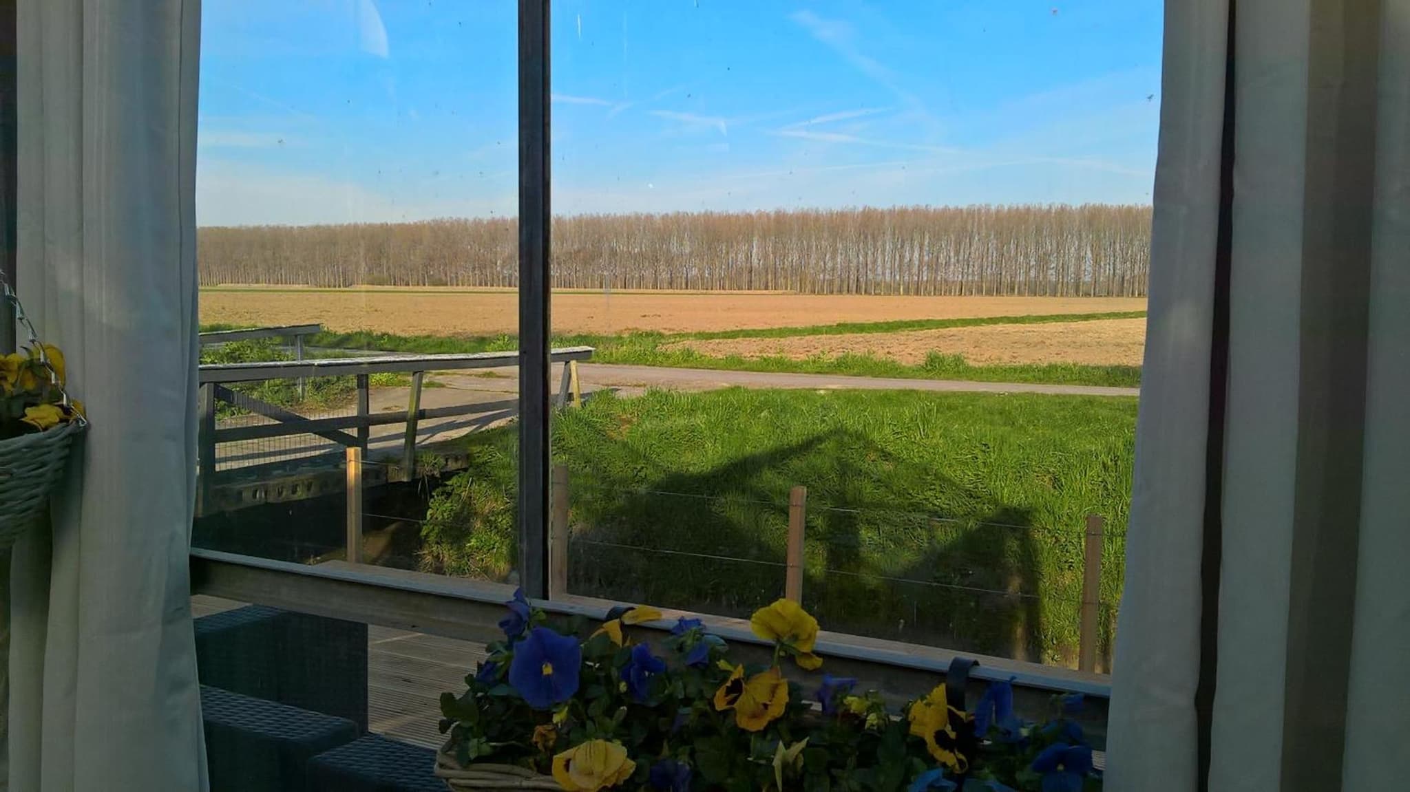 Vrijstaande accommodatie Glamping de Kas InN photo 7