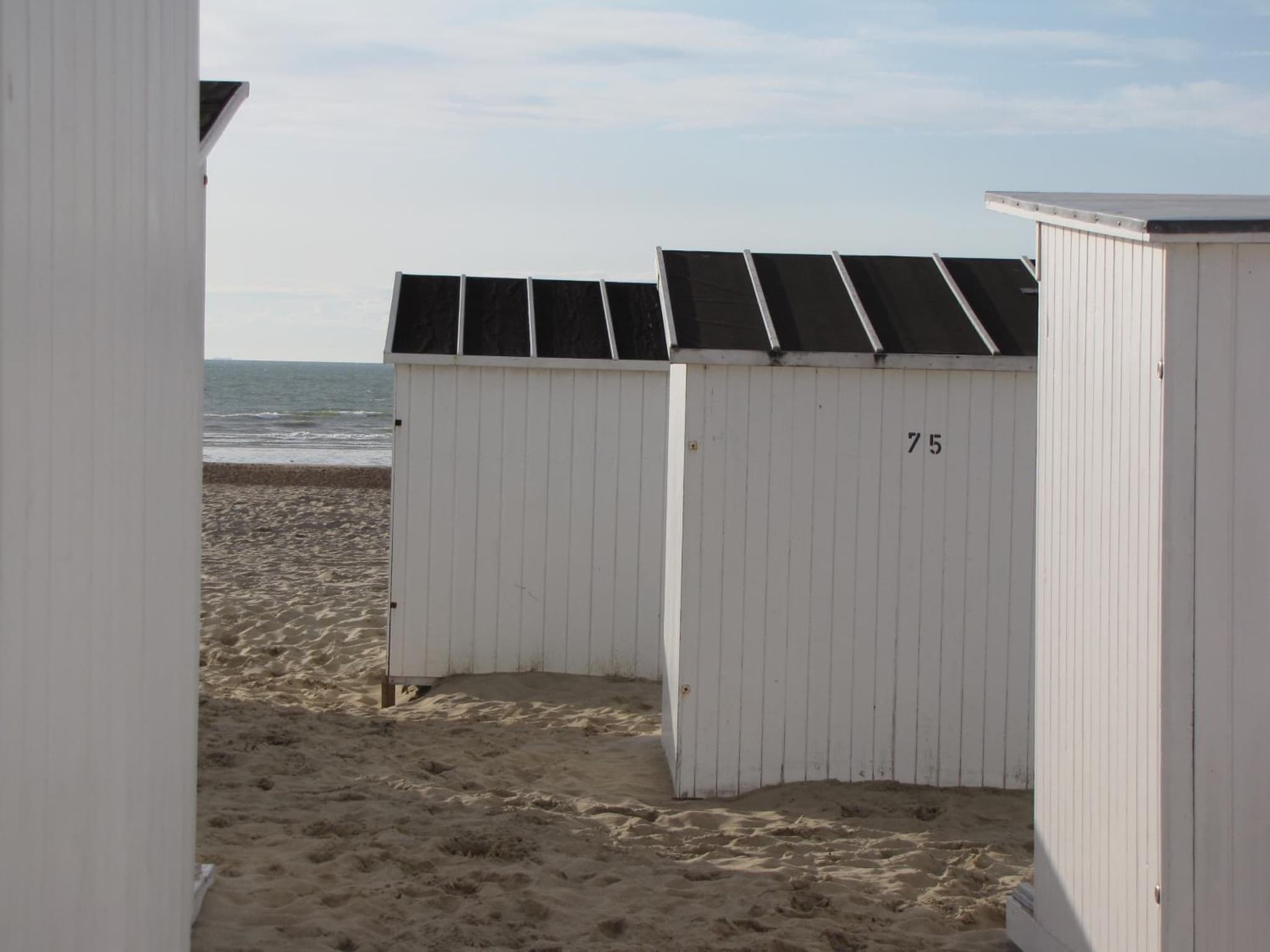 Comfort Aan Zee photo 2