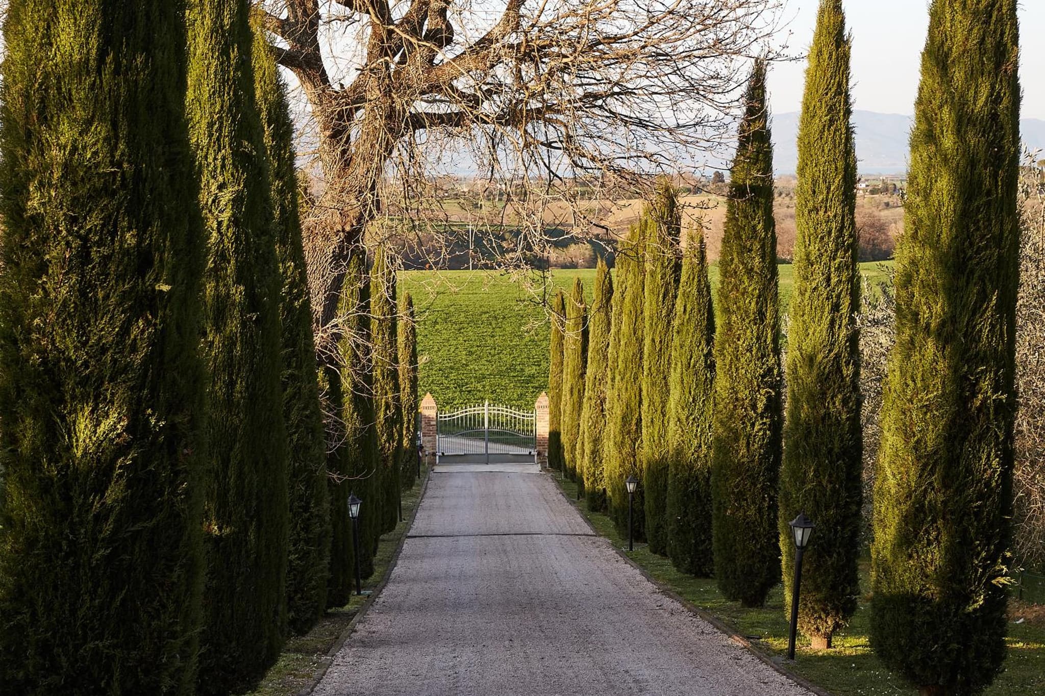 Podere Fontegallo photo 6