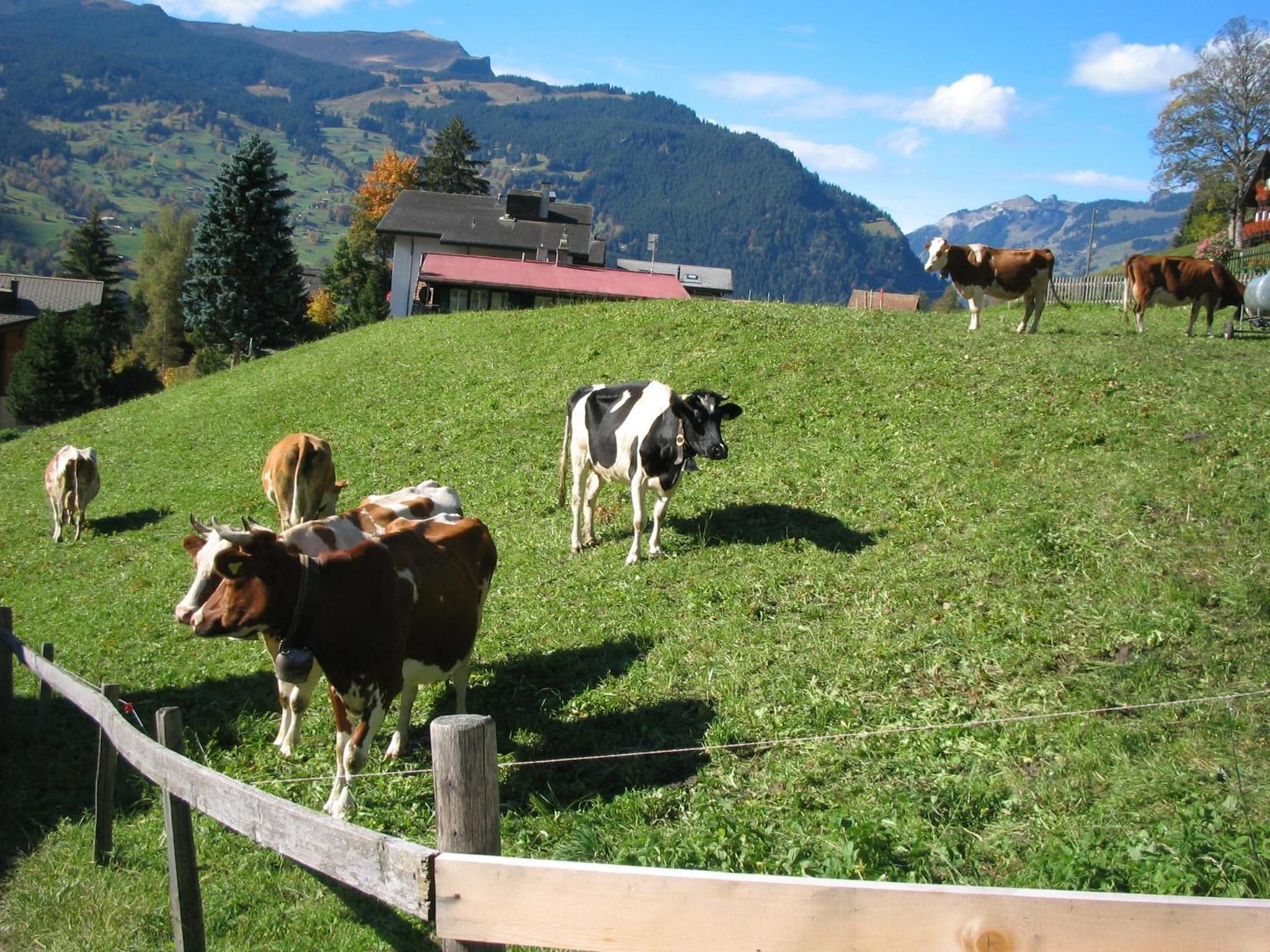 Alpenhof photo 9