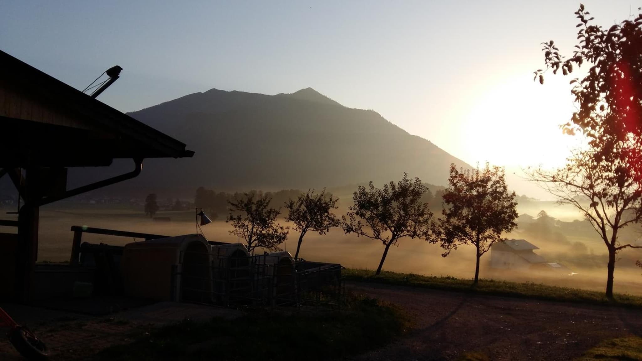 Weinbachbauer - Urlaub am Bauernhof photo 4