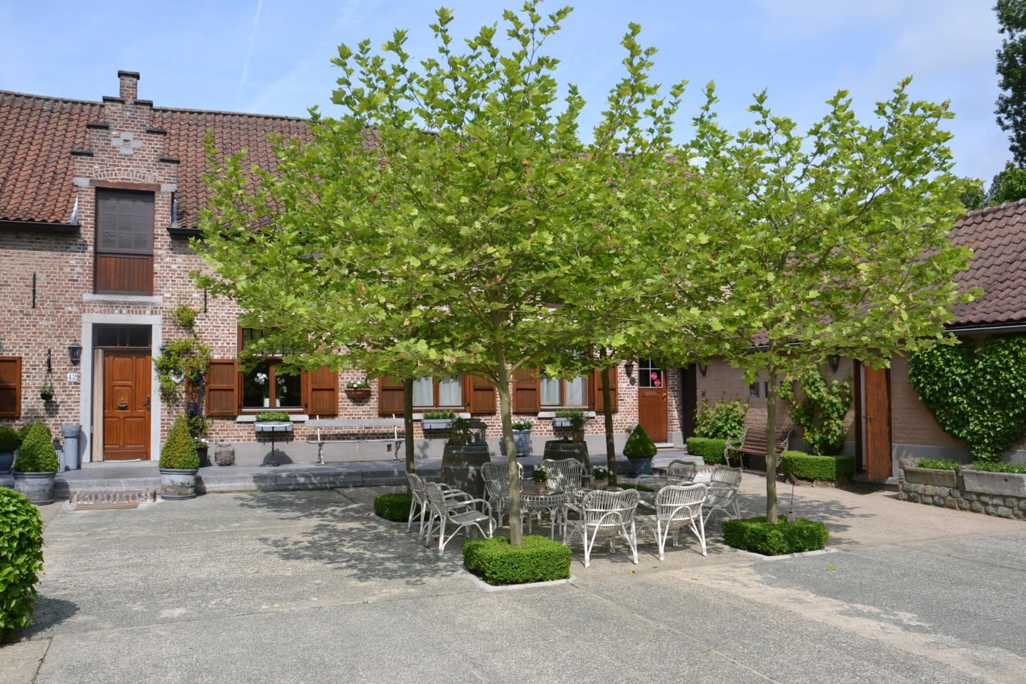 B&B Hof te Spieringen photo 6