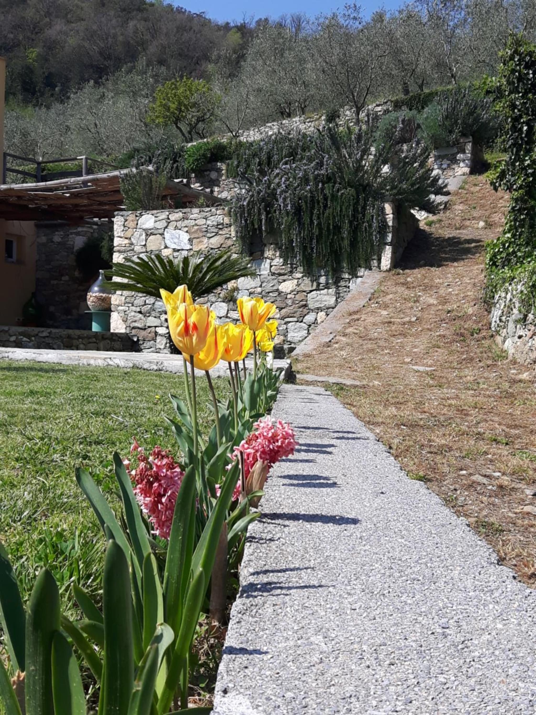Ort holiday's time photo 6