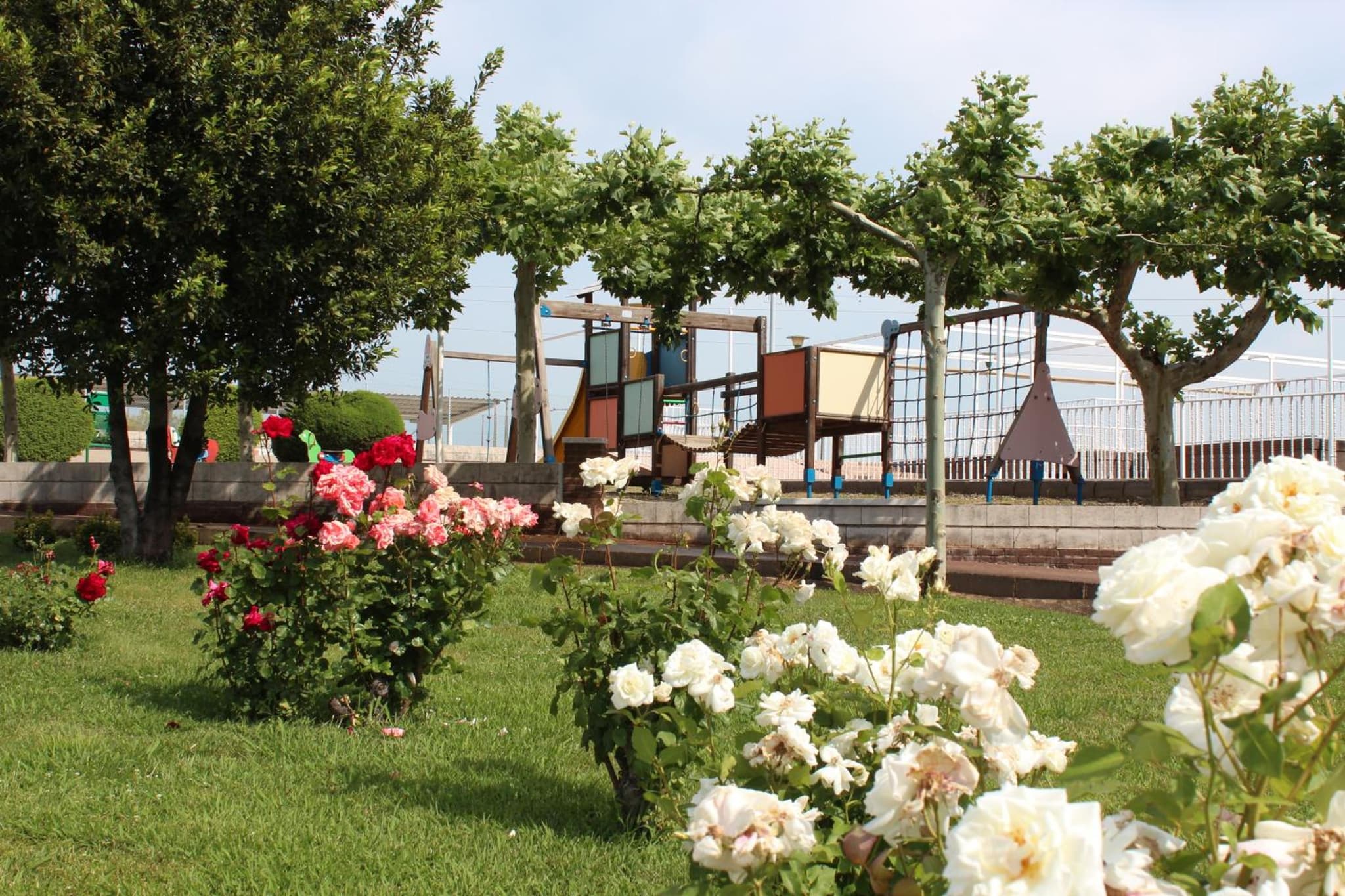 Hotel Azar photo 4