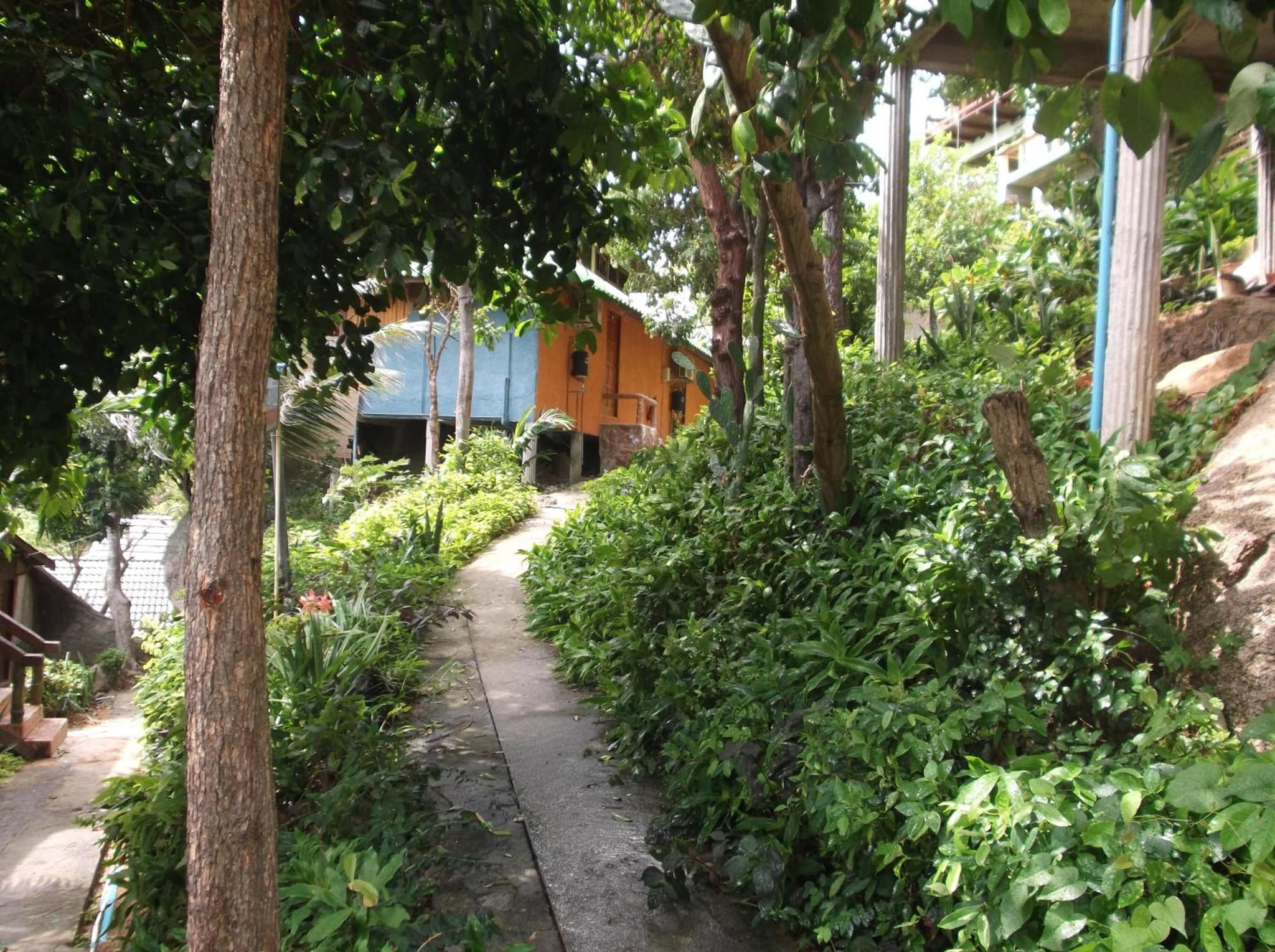 Suncliff Resort photo 6