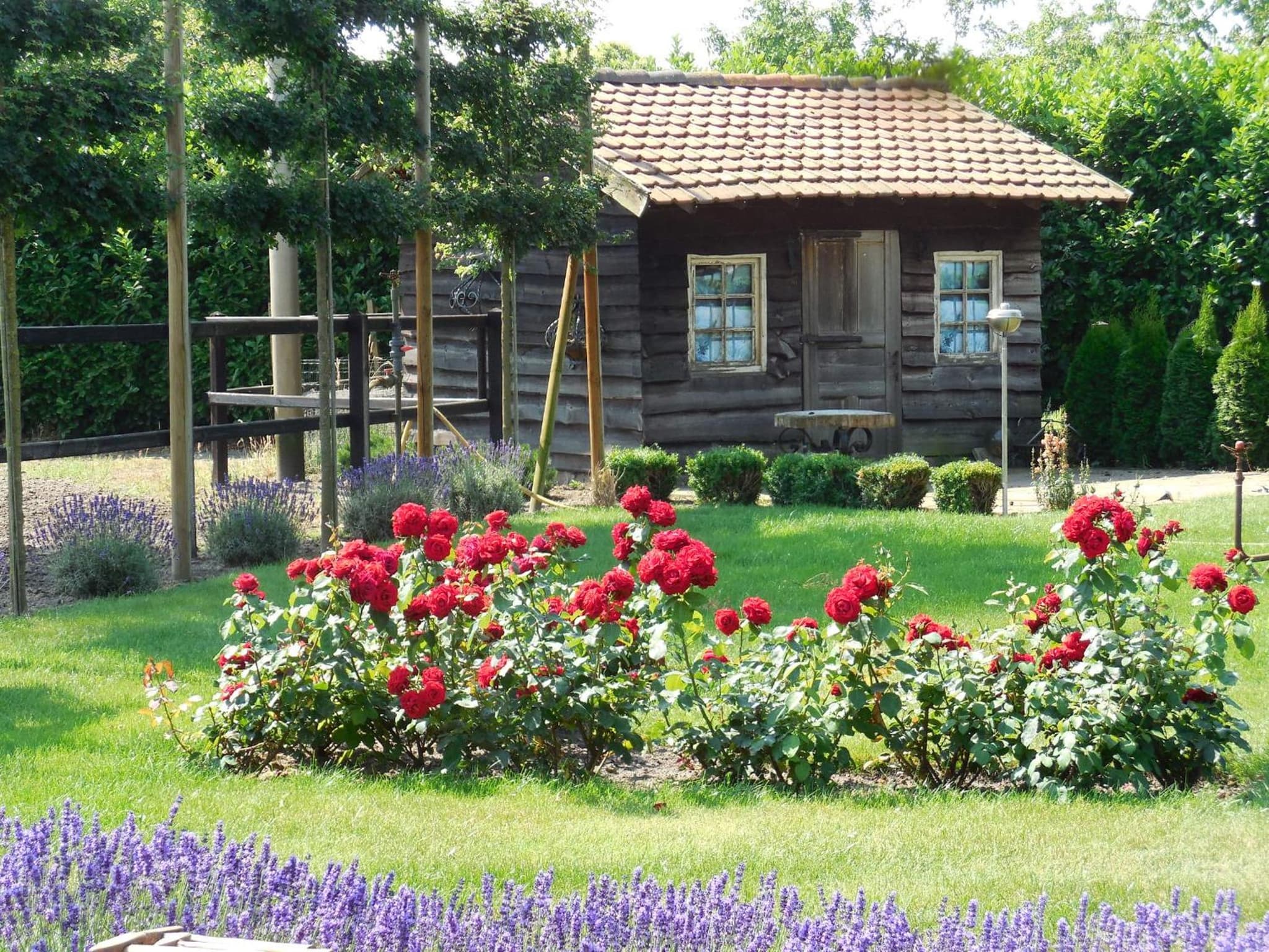 B & B " De 7 Sprong " photo 5