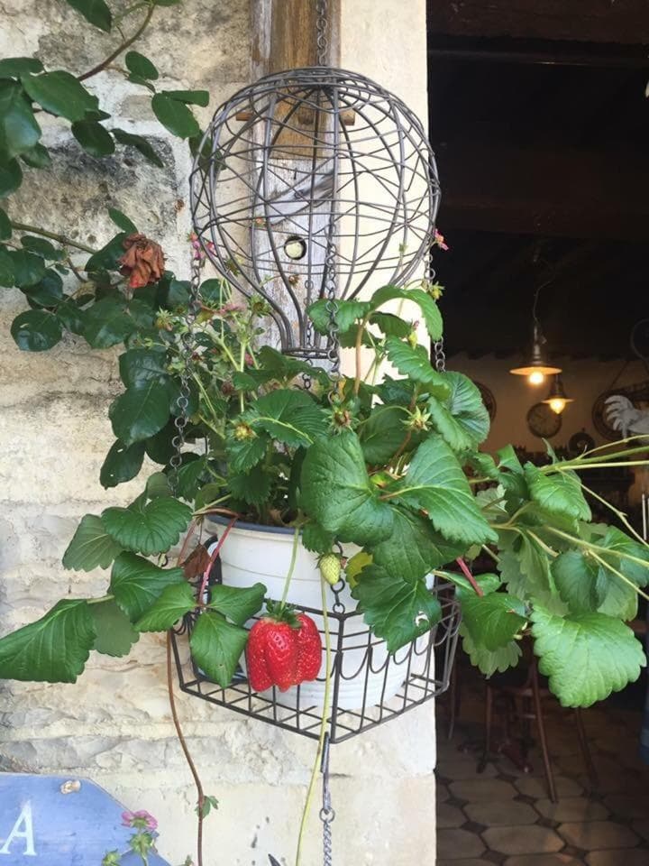 Maison & Tartine photo 9