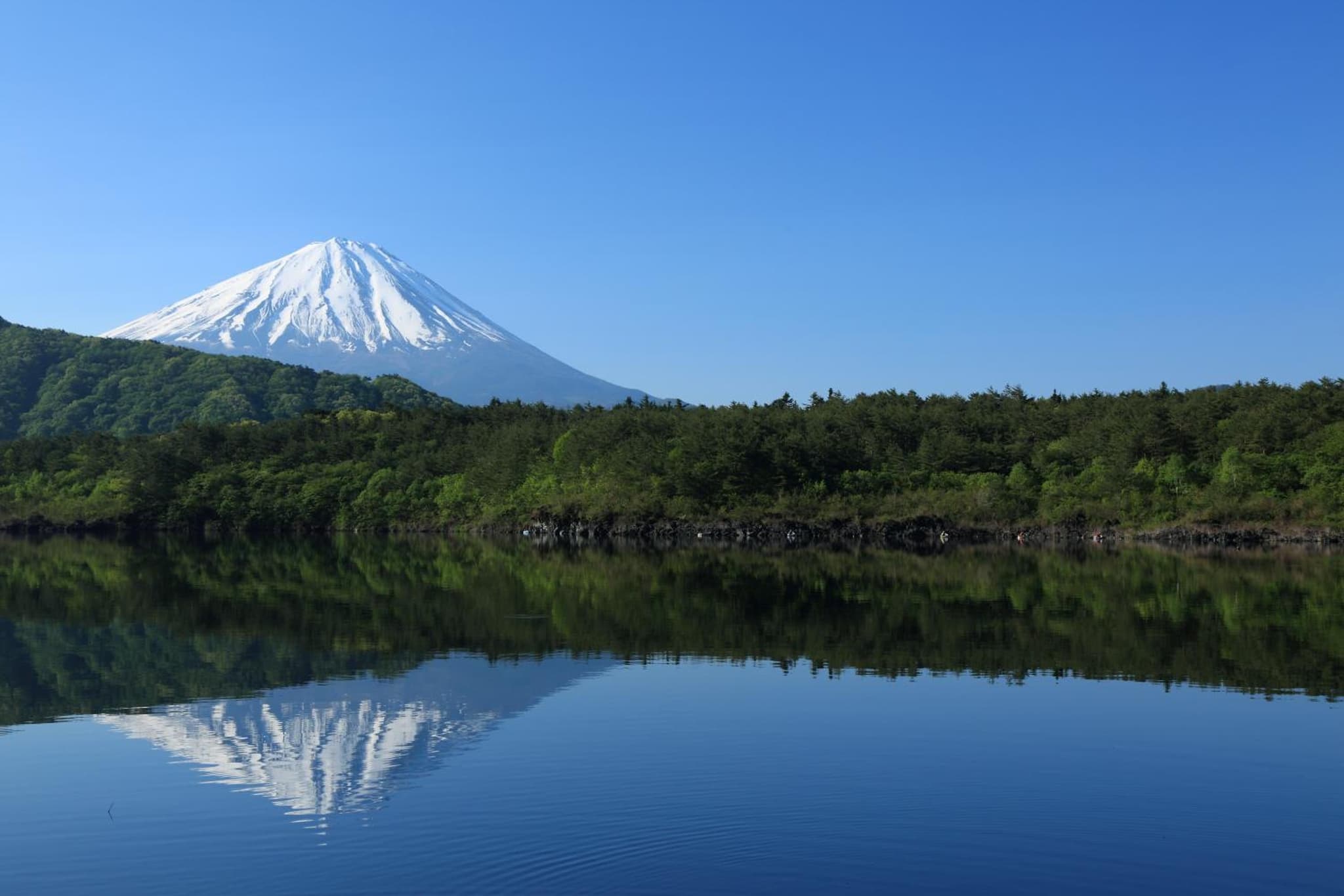 HOTEL MYSTAYS Fuji Onsen Resort photo 2