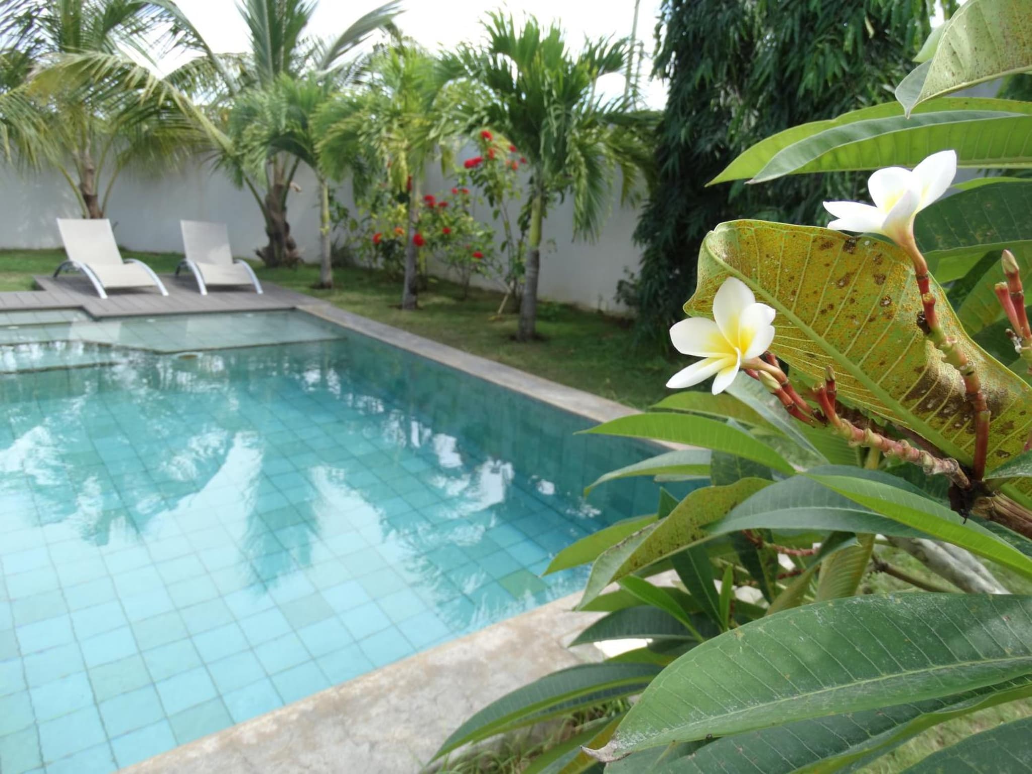 Villa Soleil photo 6