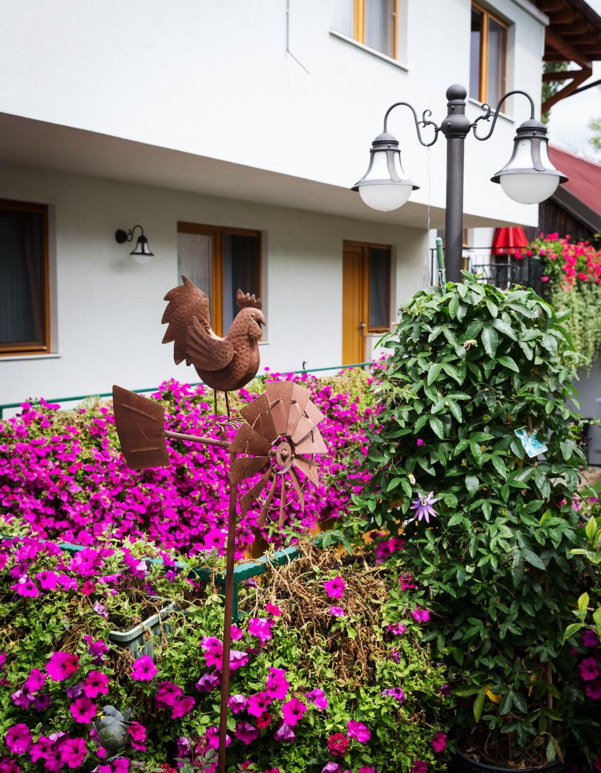 Weingut und Gästehaus Salzl photo 8