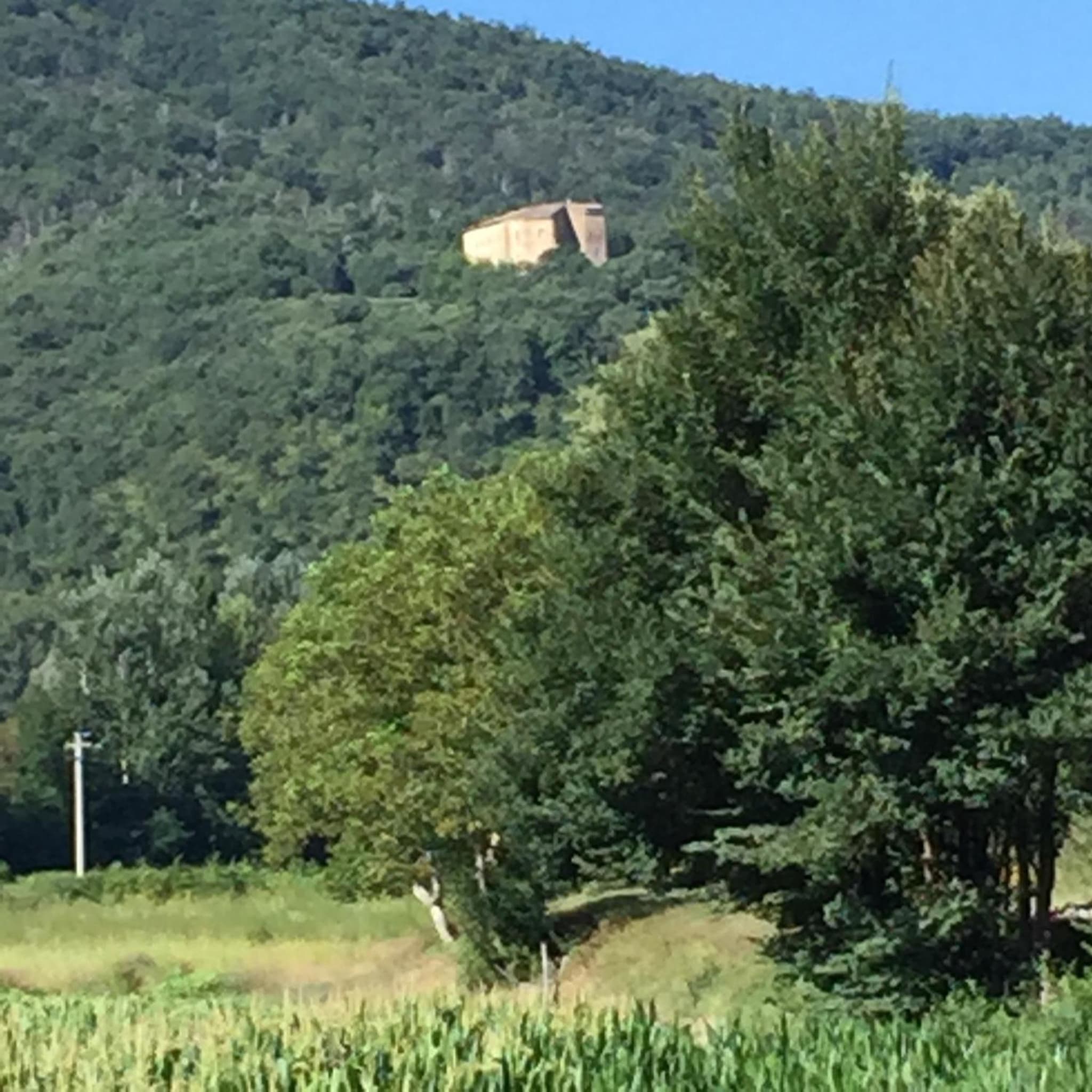 Bargi photo 2