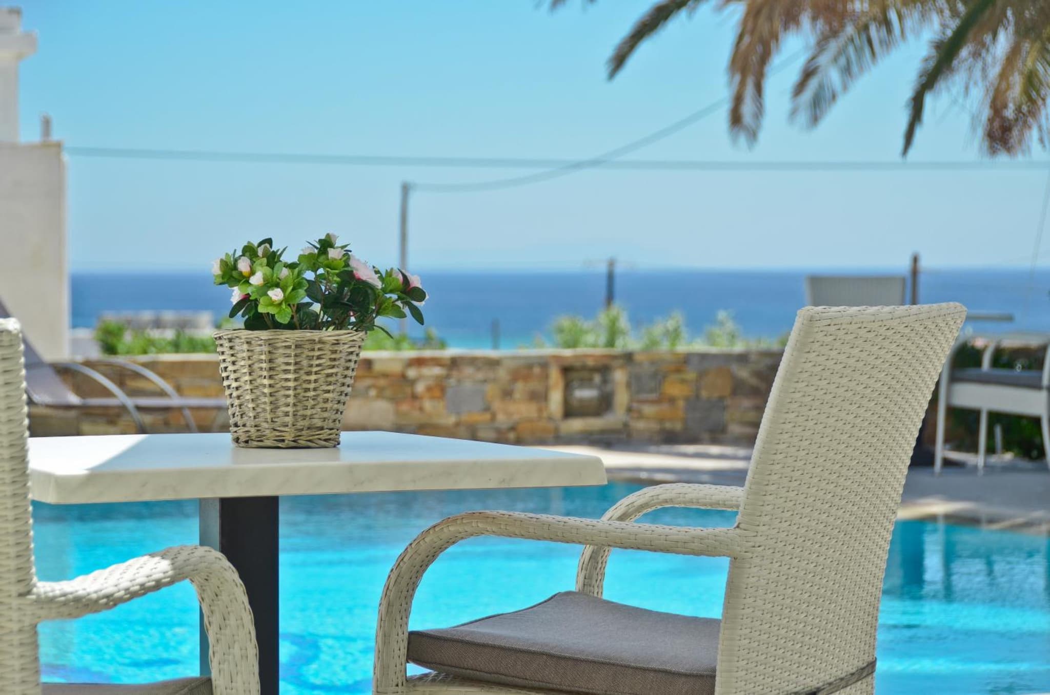 Dilino Hotel Studios photo 3